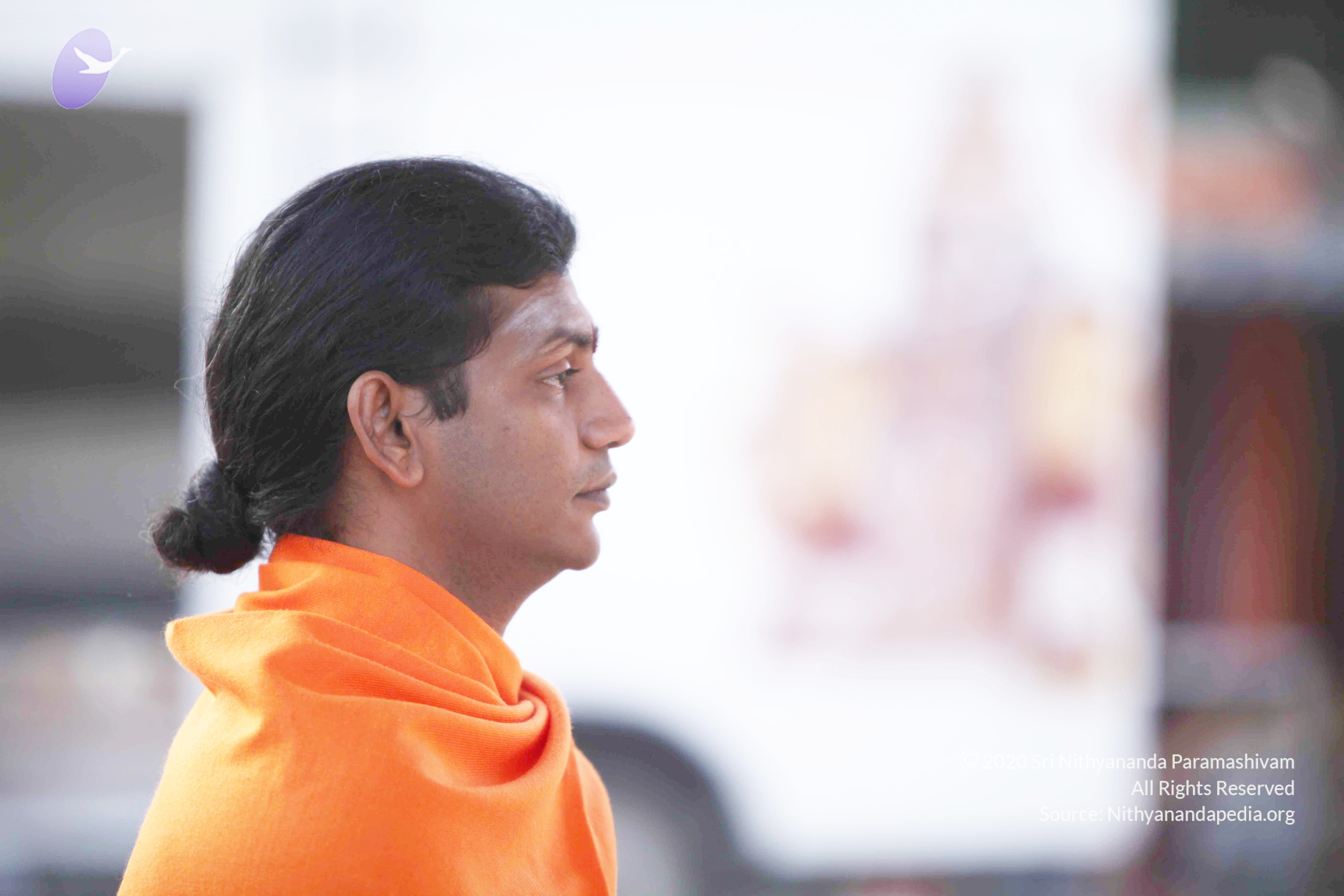 20110121_Photo_1015_IMG_1996_CMP_WM