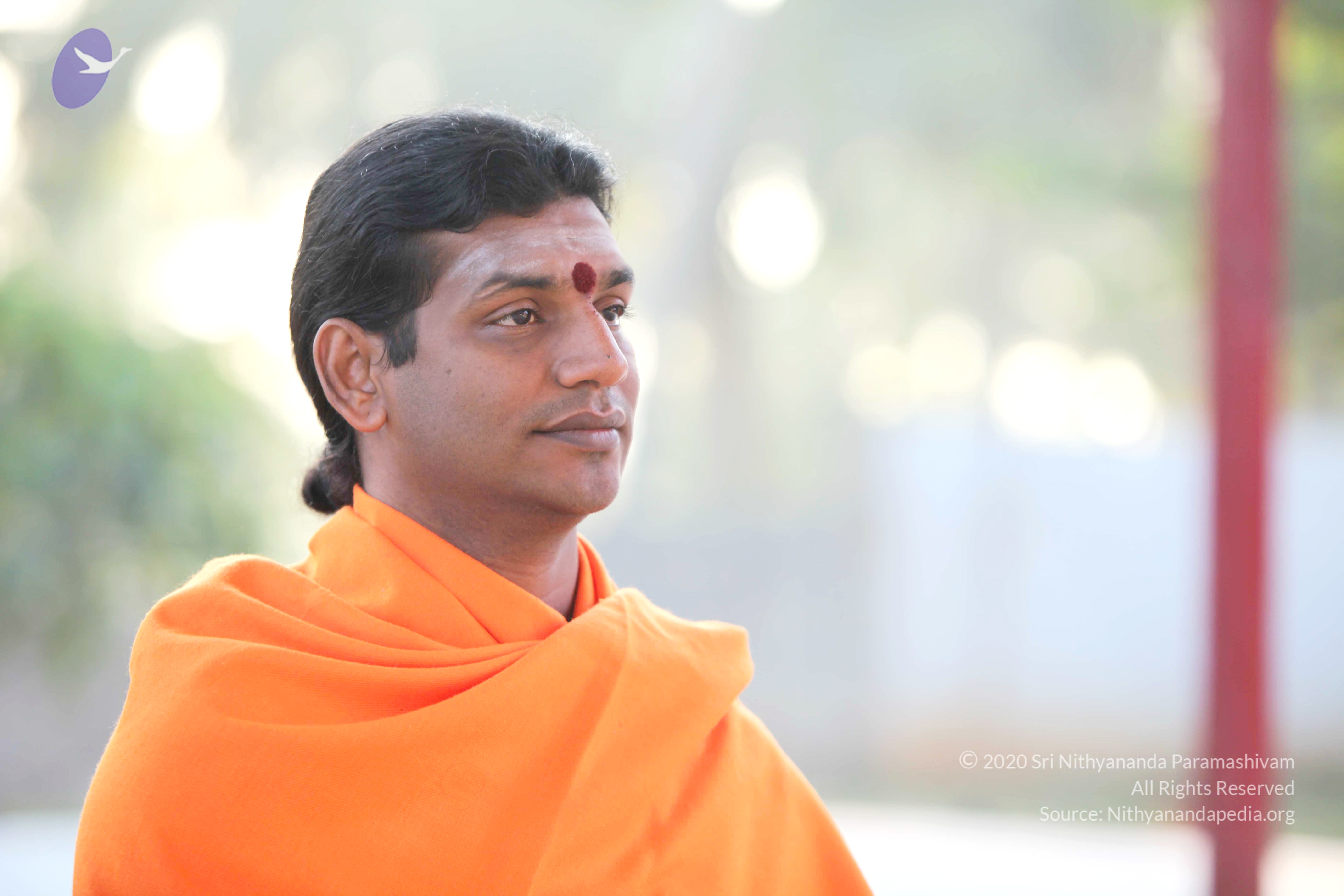 20110121_Photo_1016_IMG_1969_CMP_WM