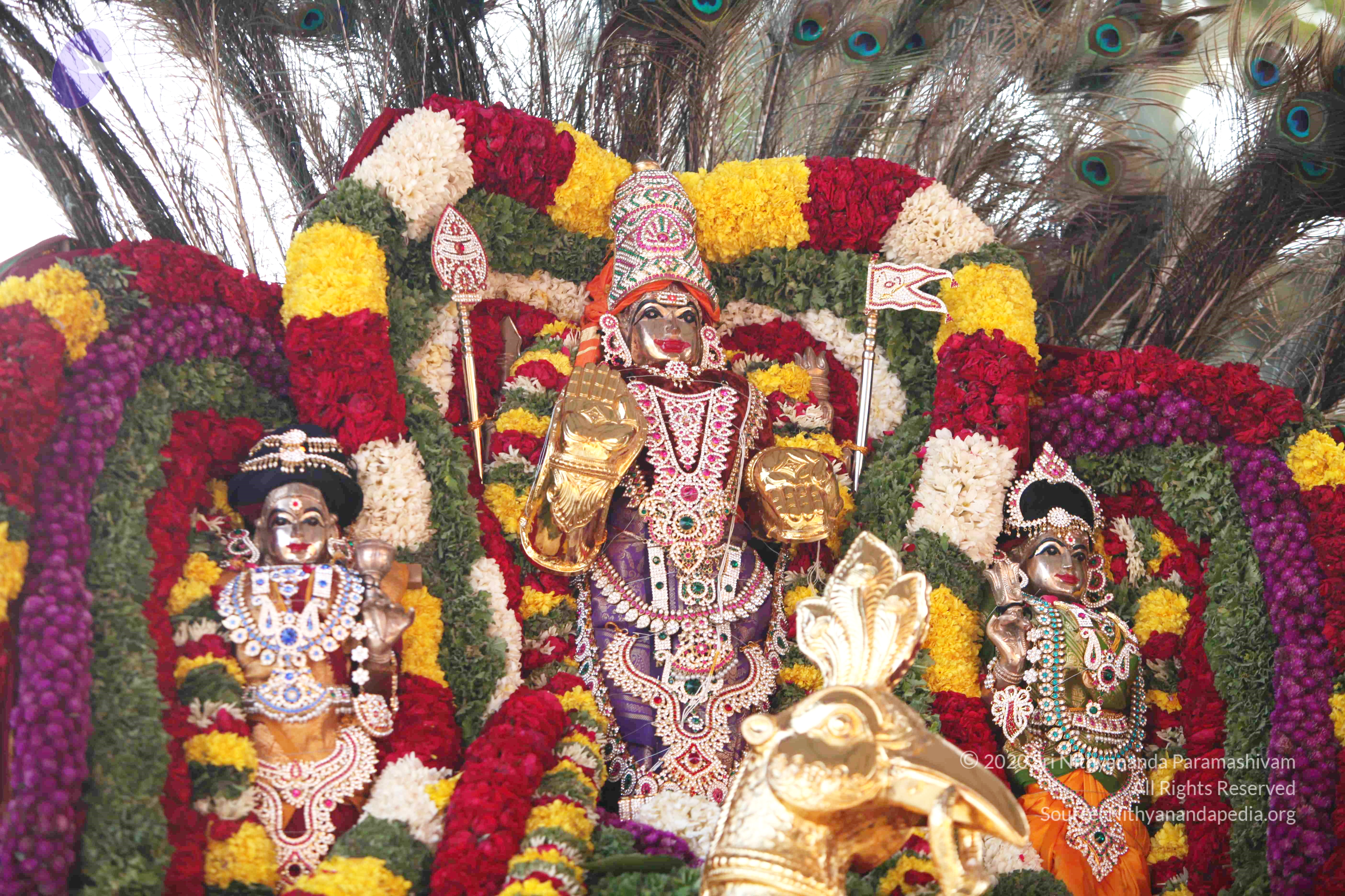 20110121_Photo_1017_IMG_2002_CMP_WM