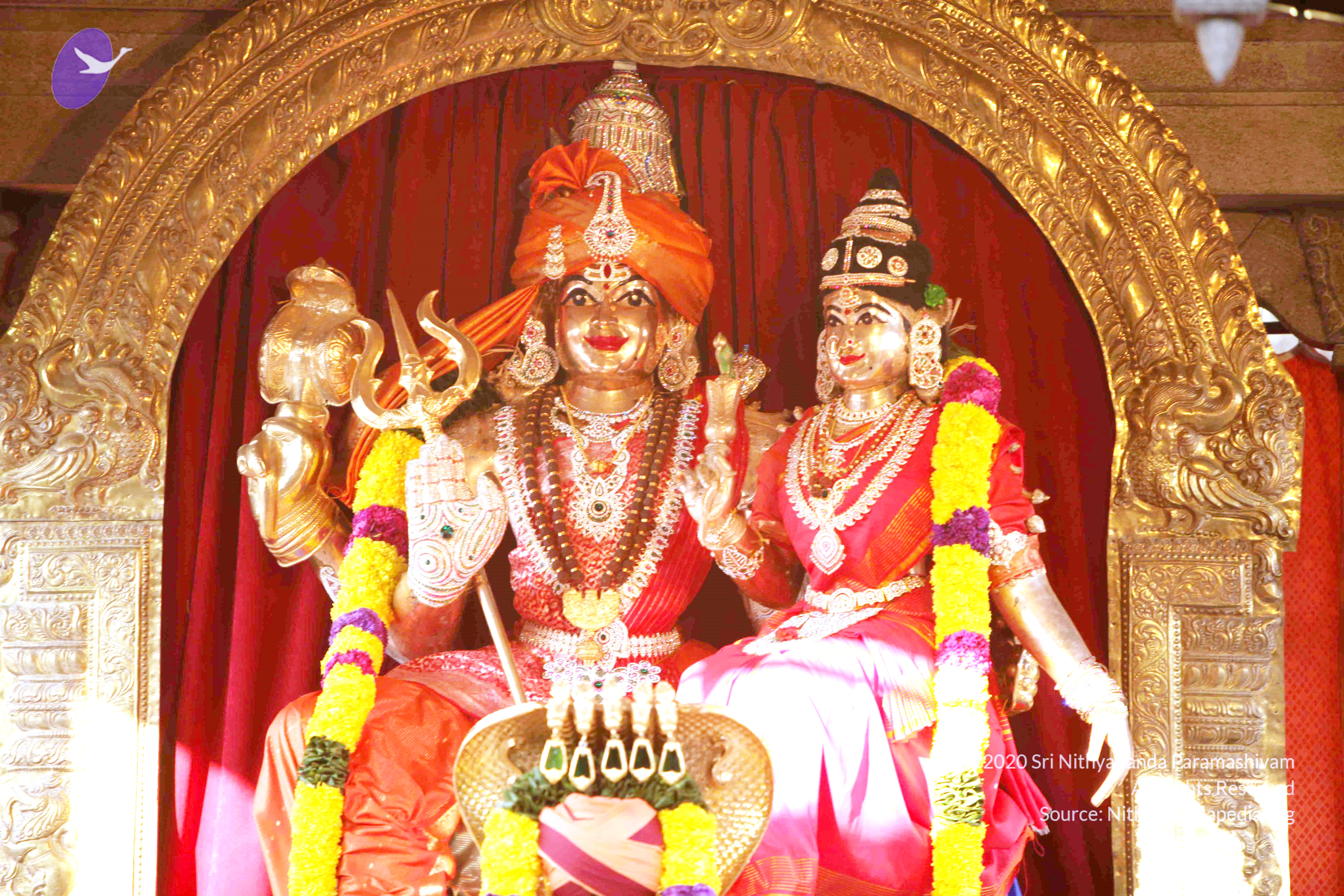 20110121_Photo_1019_IMG_2060_CMP_WM