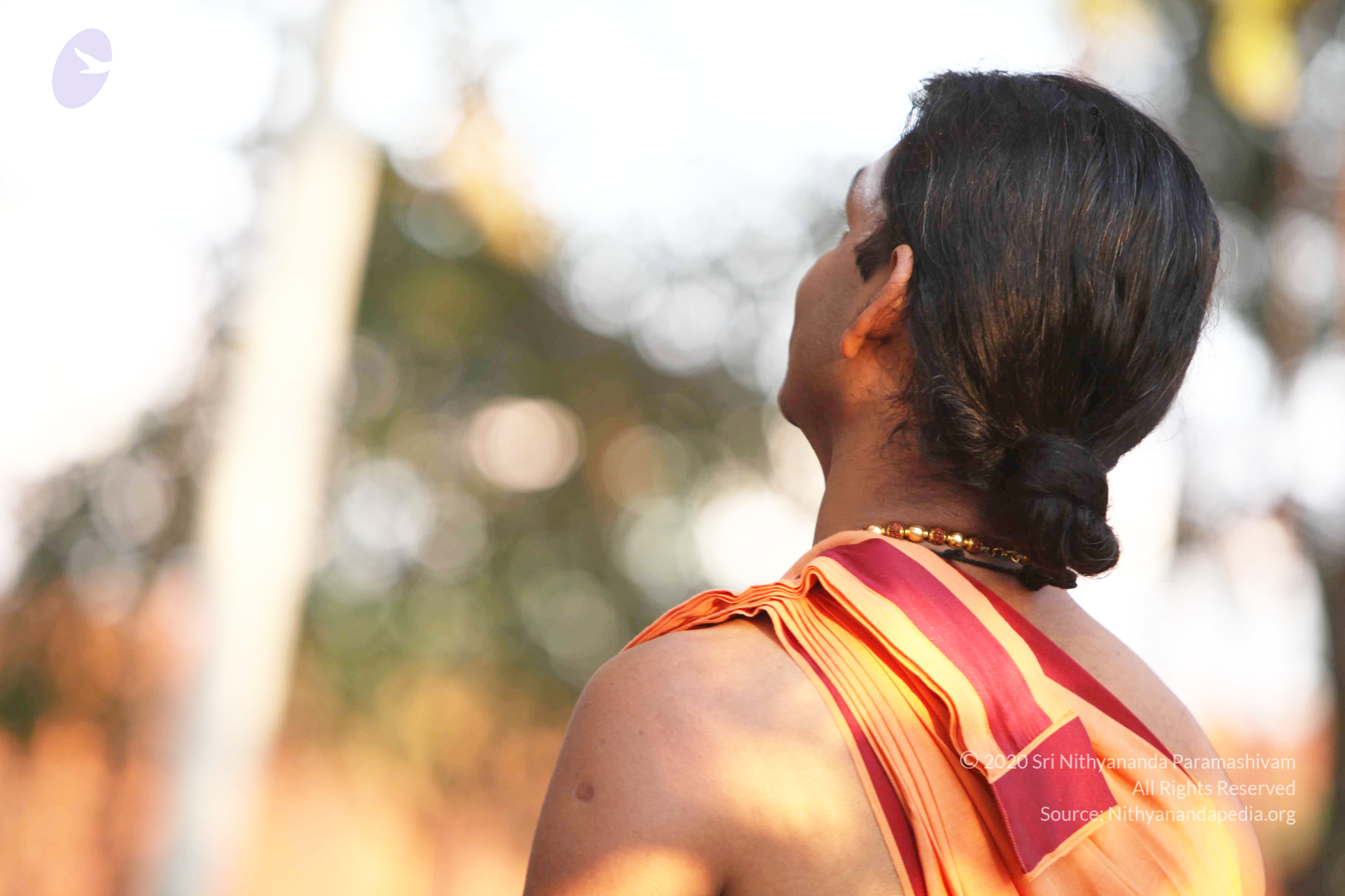 20110121_Photo_1065_IMG_1904_CMP_WM