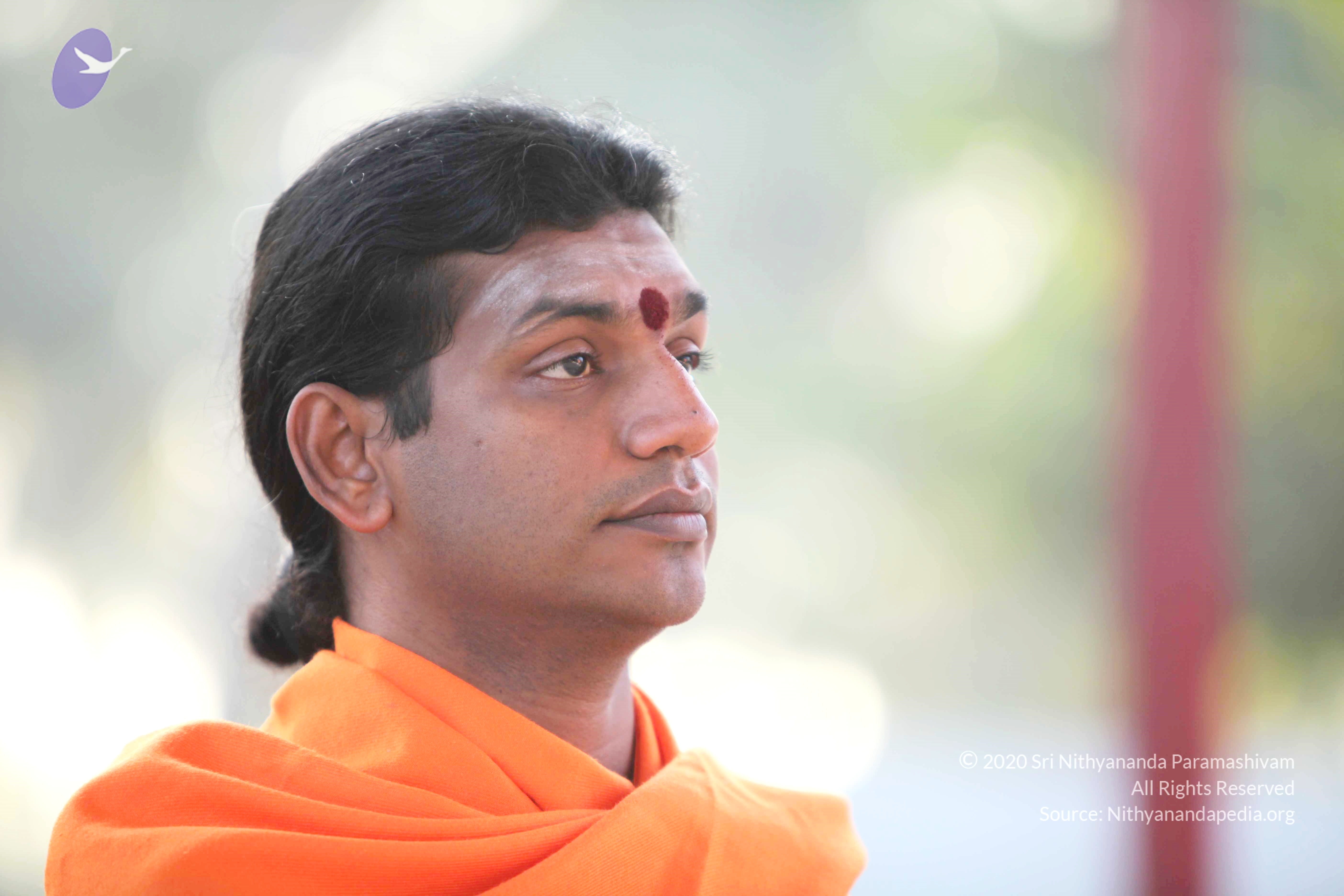 20110121_Photo_1103_IMG_1991_CMP_WM