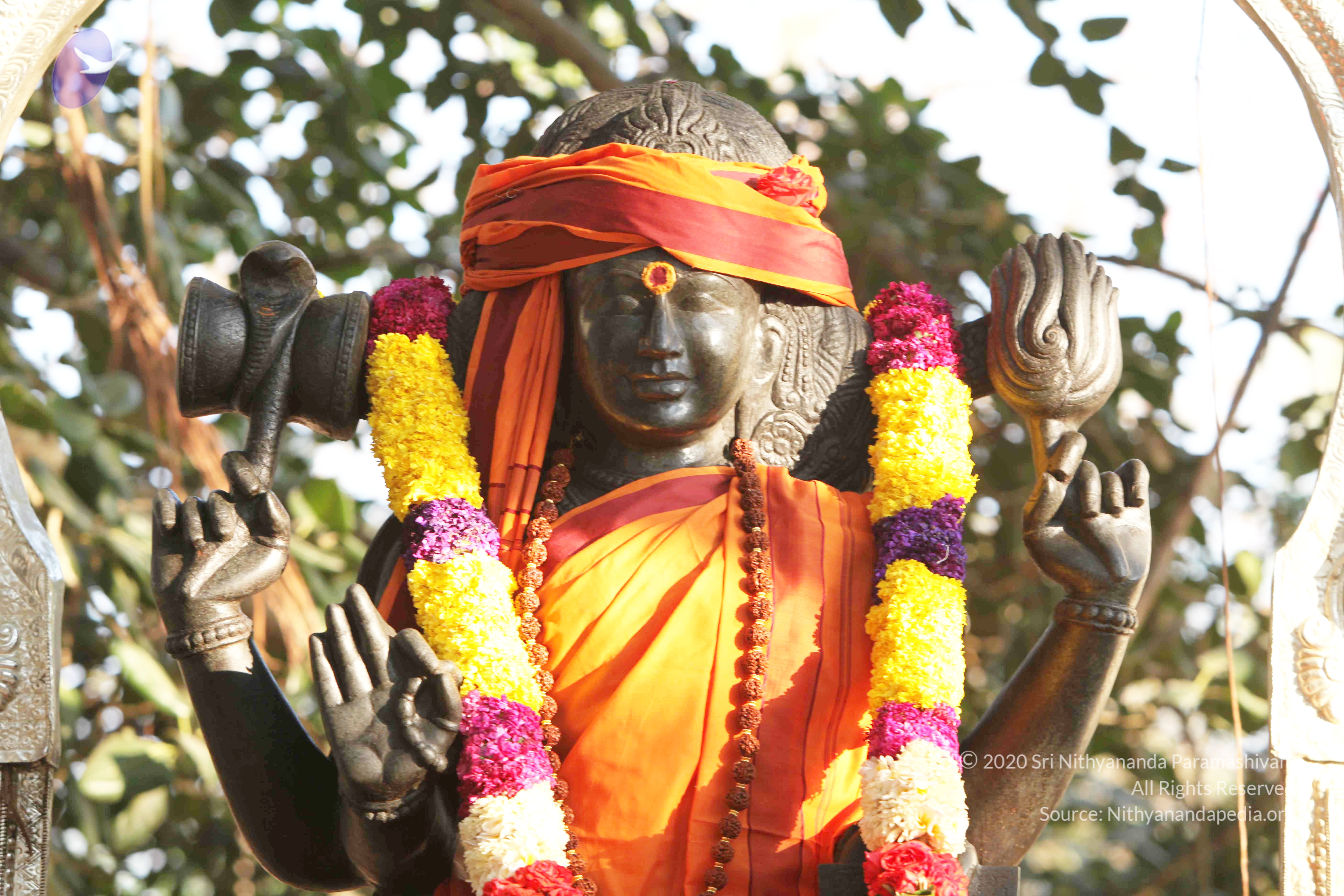 20110121_Photo_1109_IMG_2076_CMP_WM