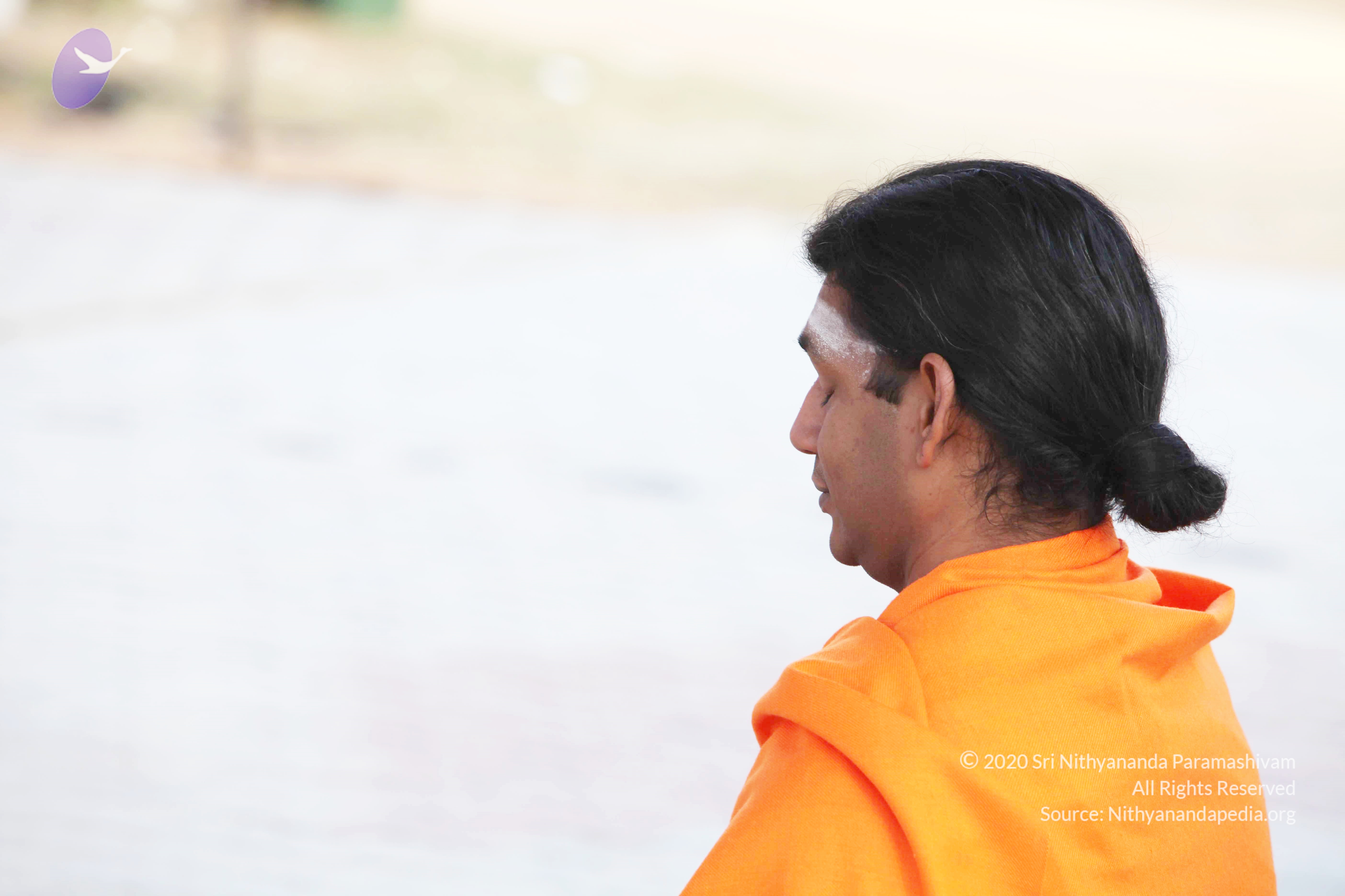 20110121_Photo_1114_IMG_1936_CMP_WM