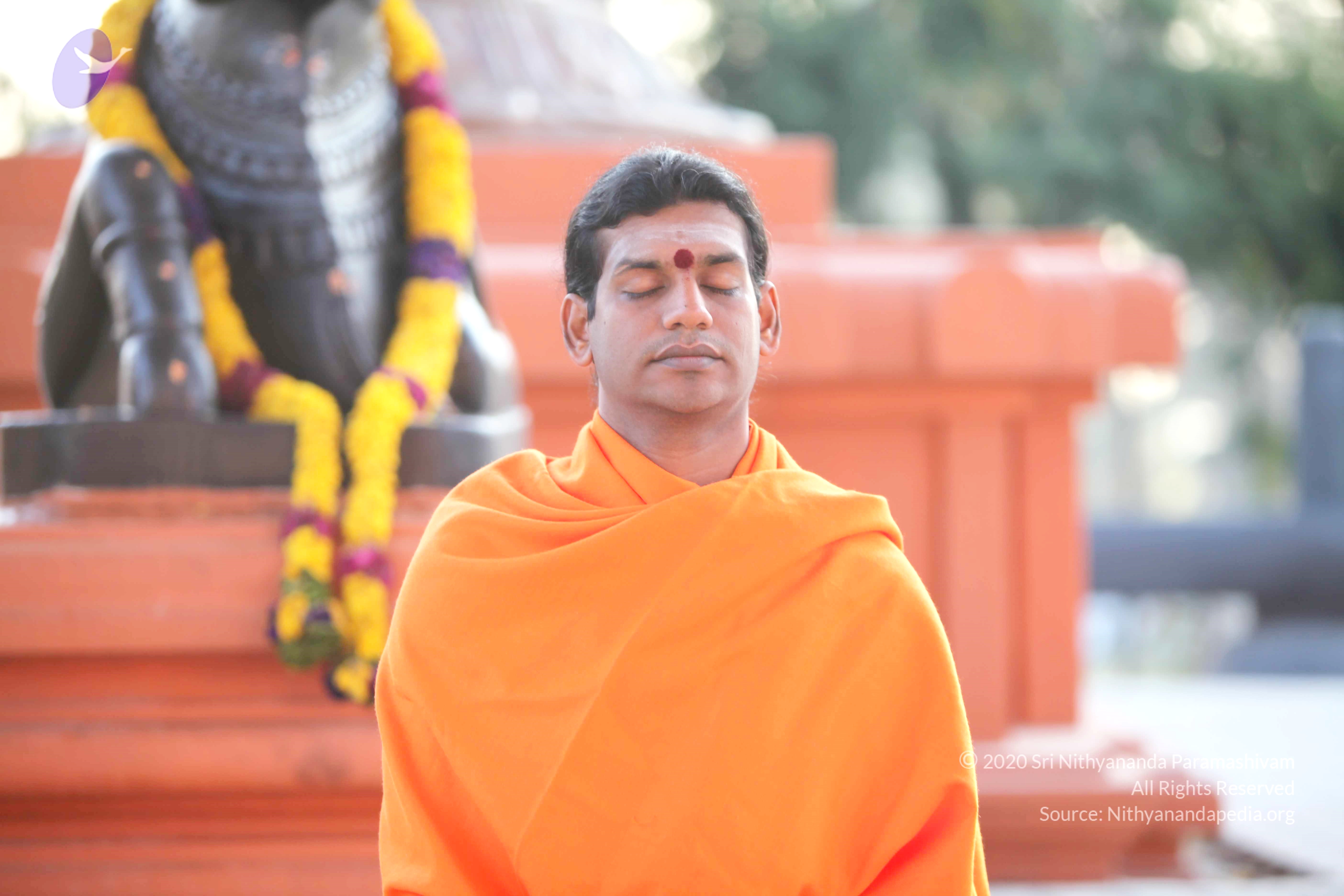 20110121_Photo_1118_IMG_1954_CMP_WM