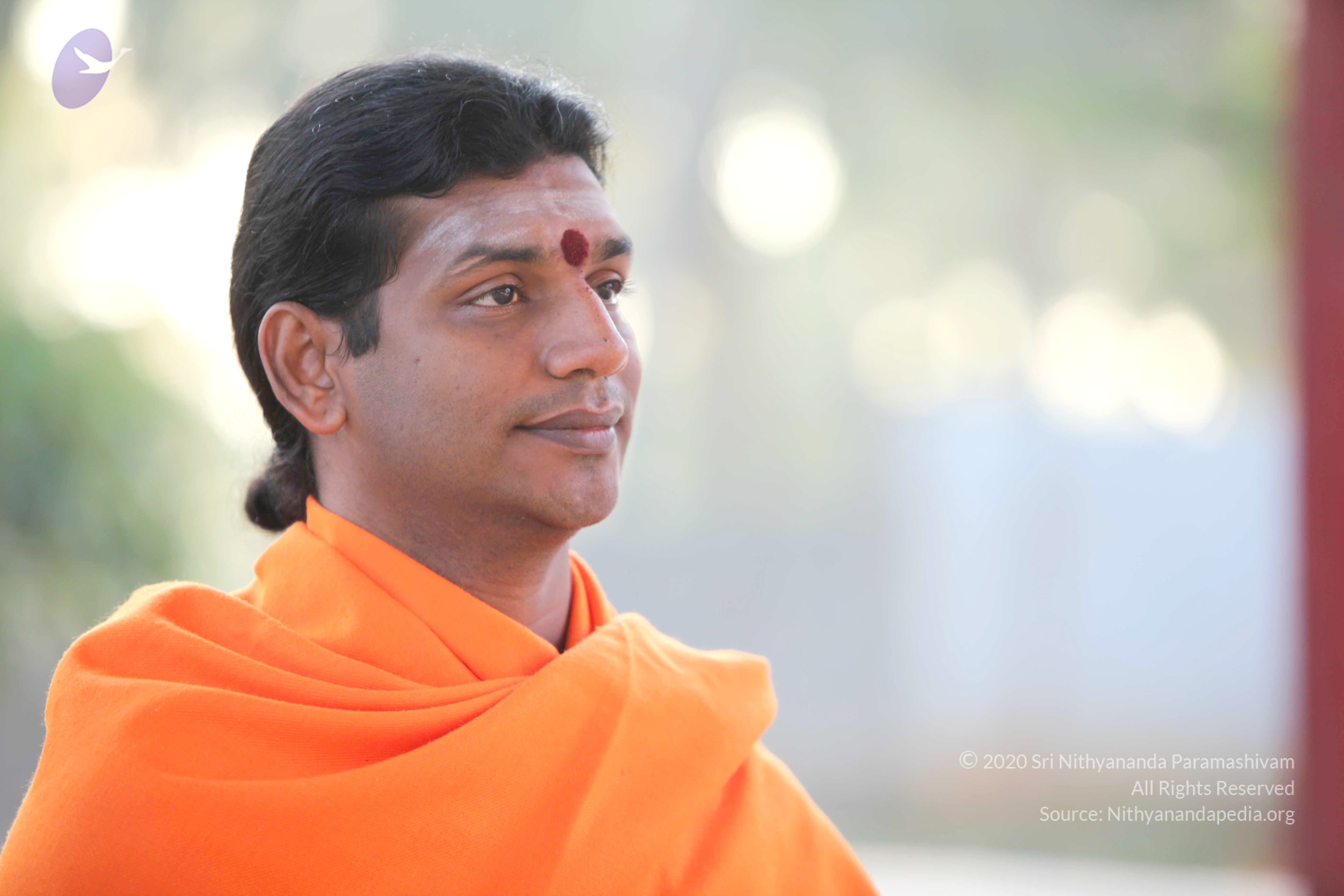 20110121_Photo_1119_IMG_1963_CMP_WM