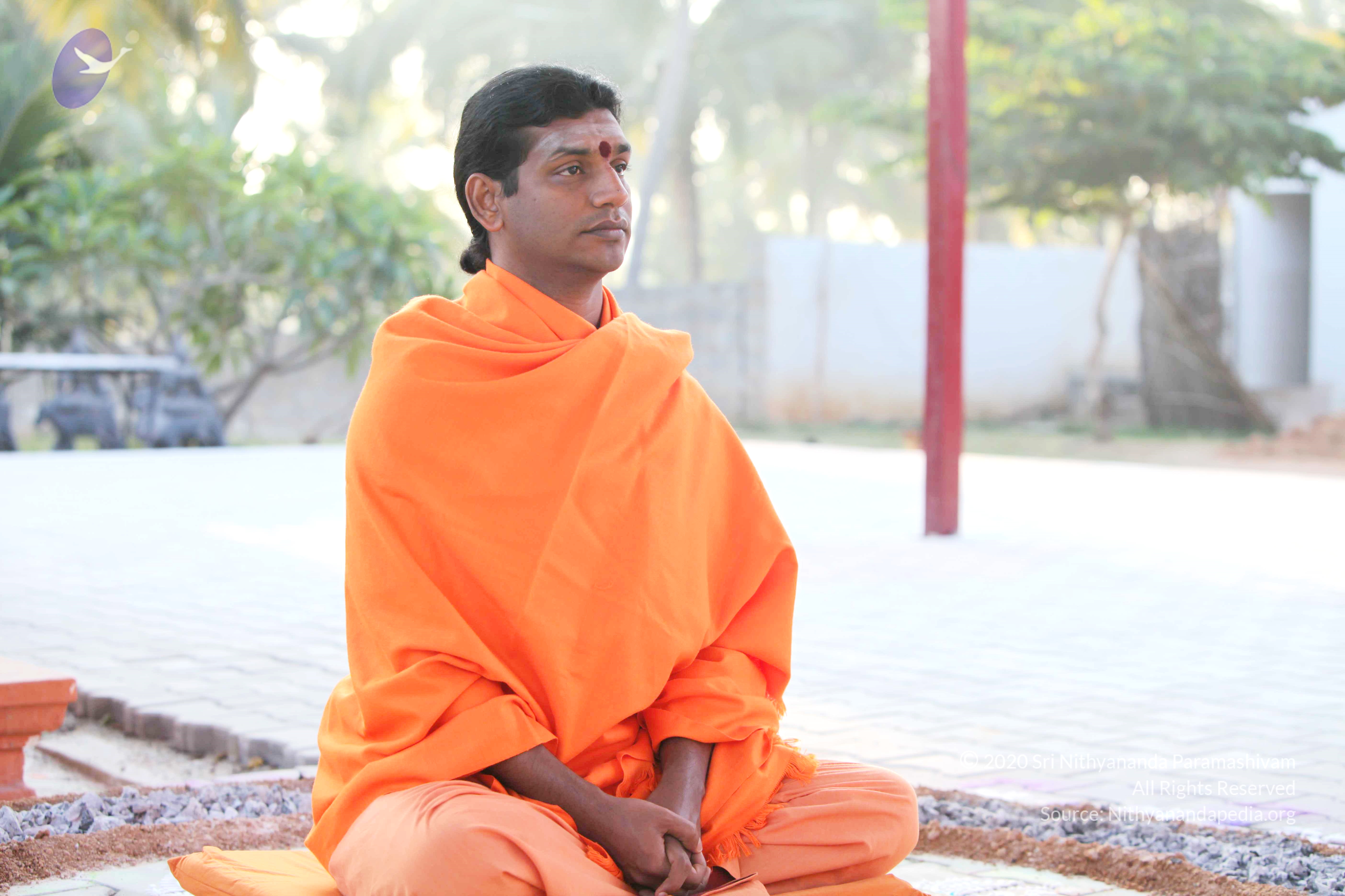 20110121_Photo_1129_IMG_1971_CMP_WM