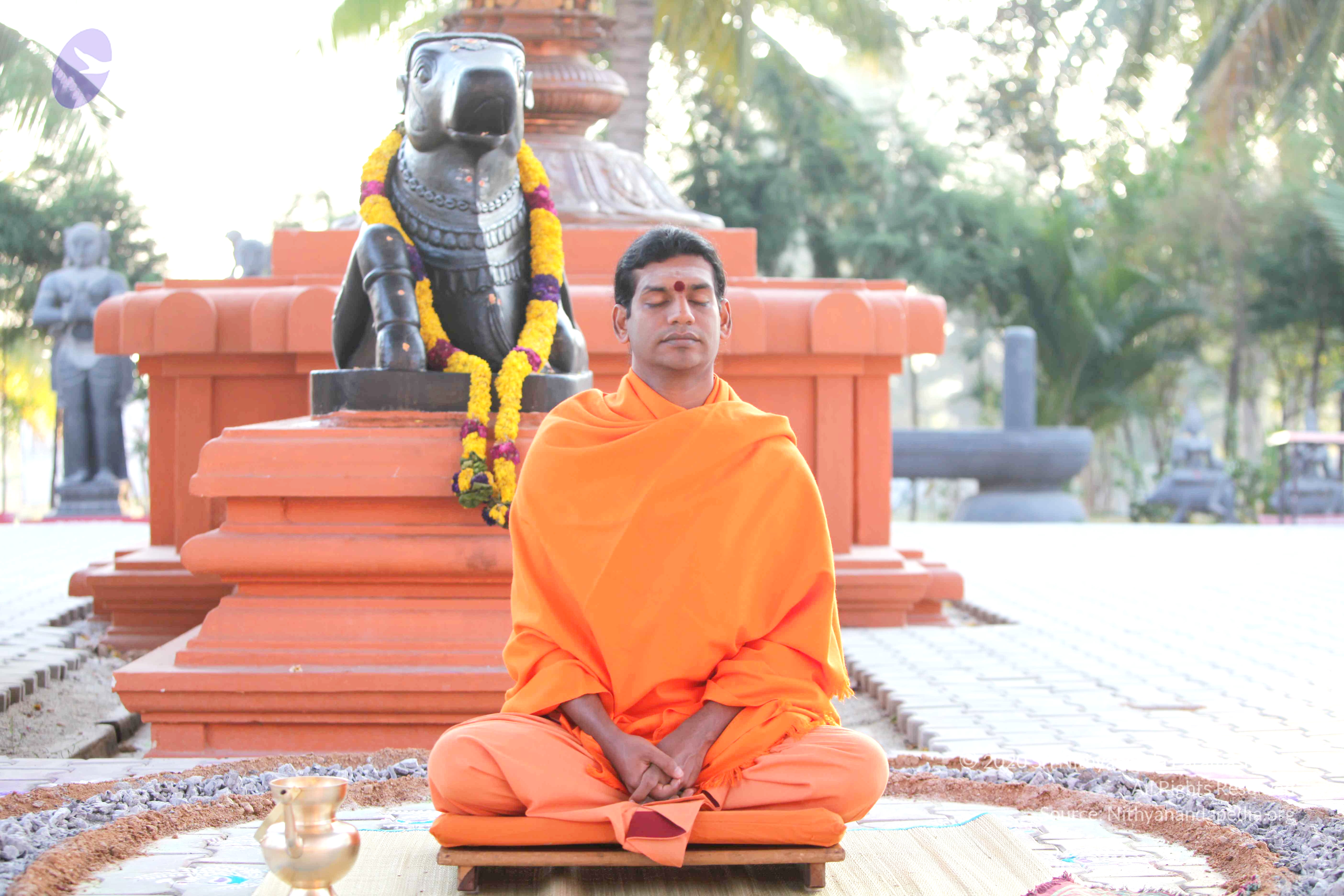 20110121_Photo_1140_IMG_1957_CMP_WM