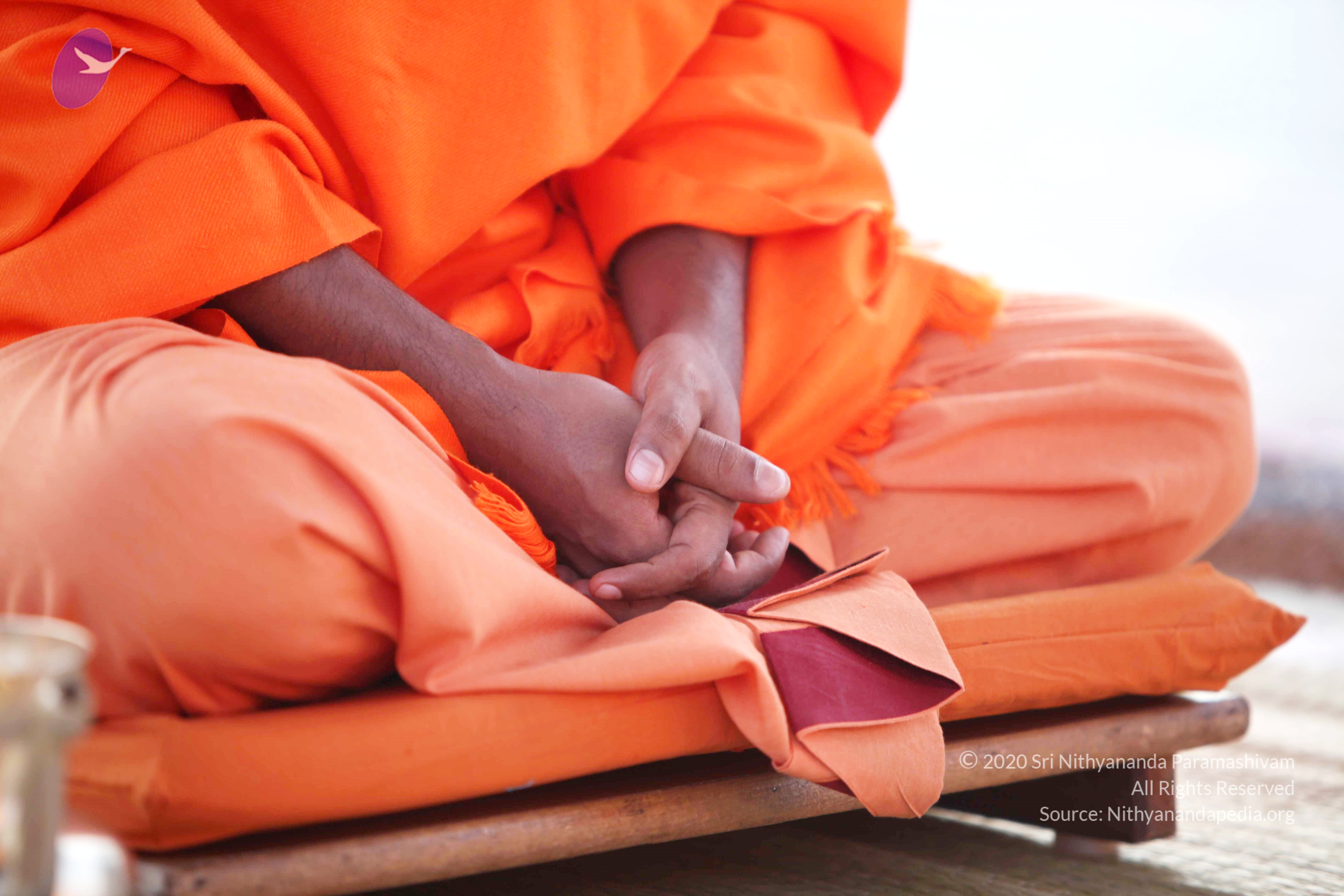 20110121_Photo_1162_IMG_1979_CMP_WM