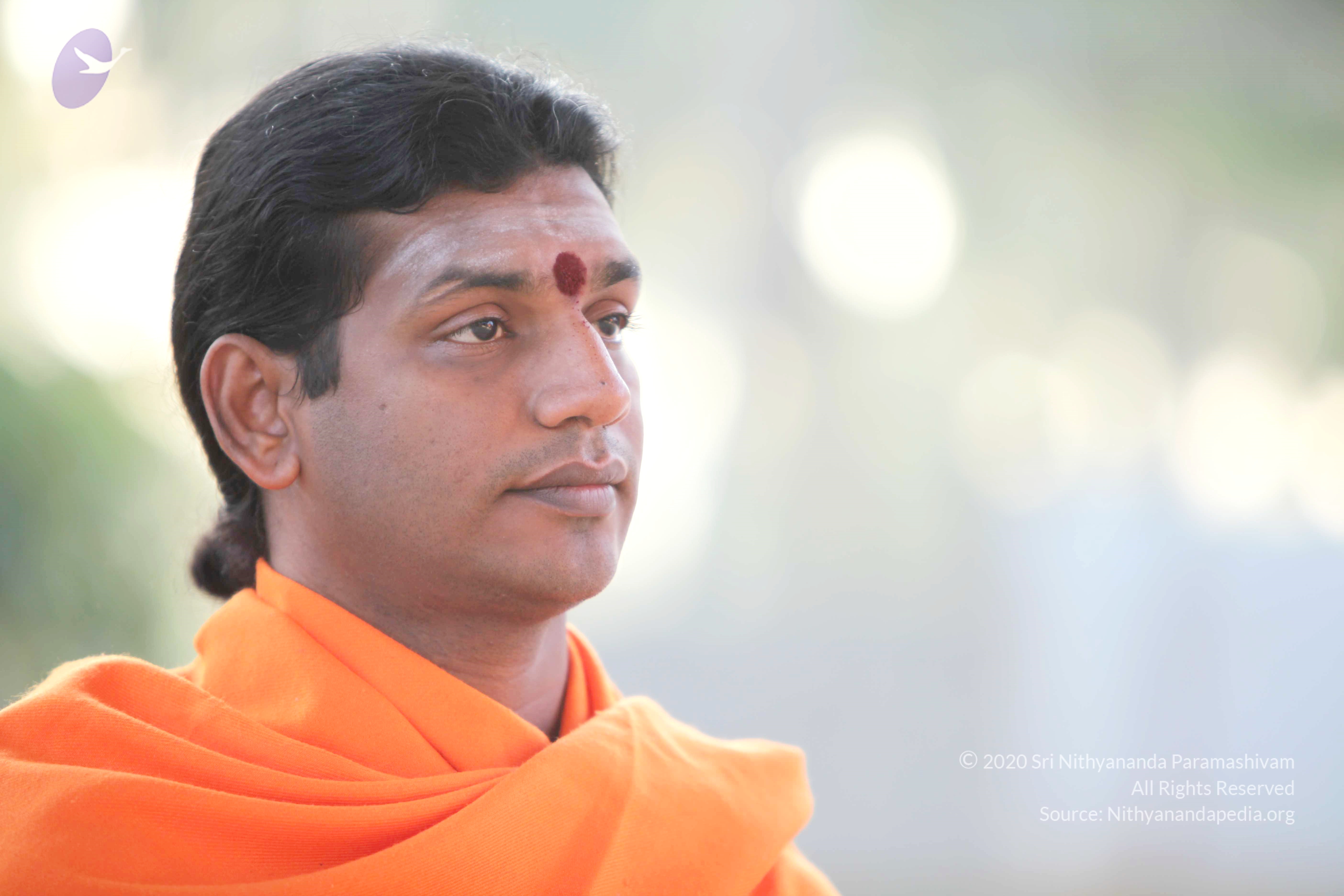 20110121_Photo_1179_IMG_1973_CMP_WM