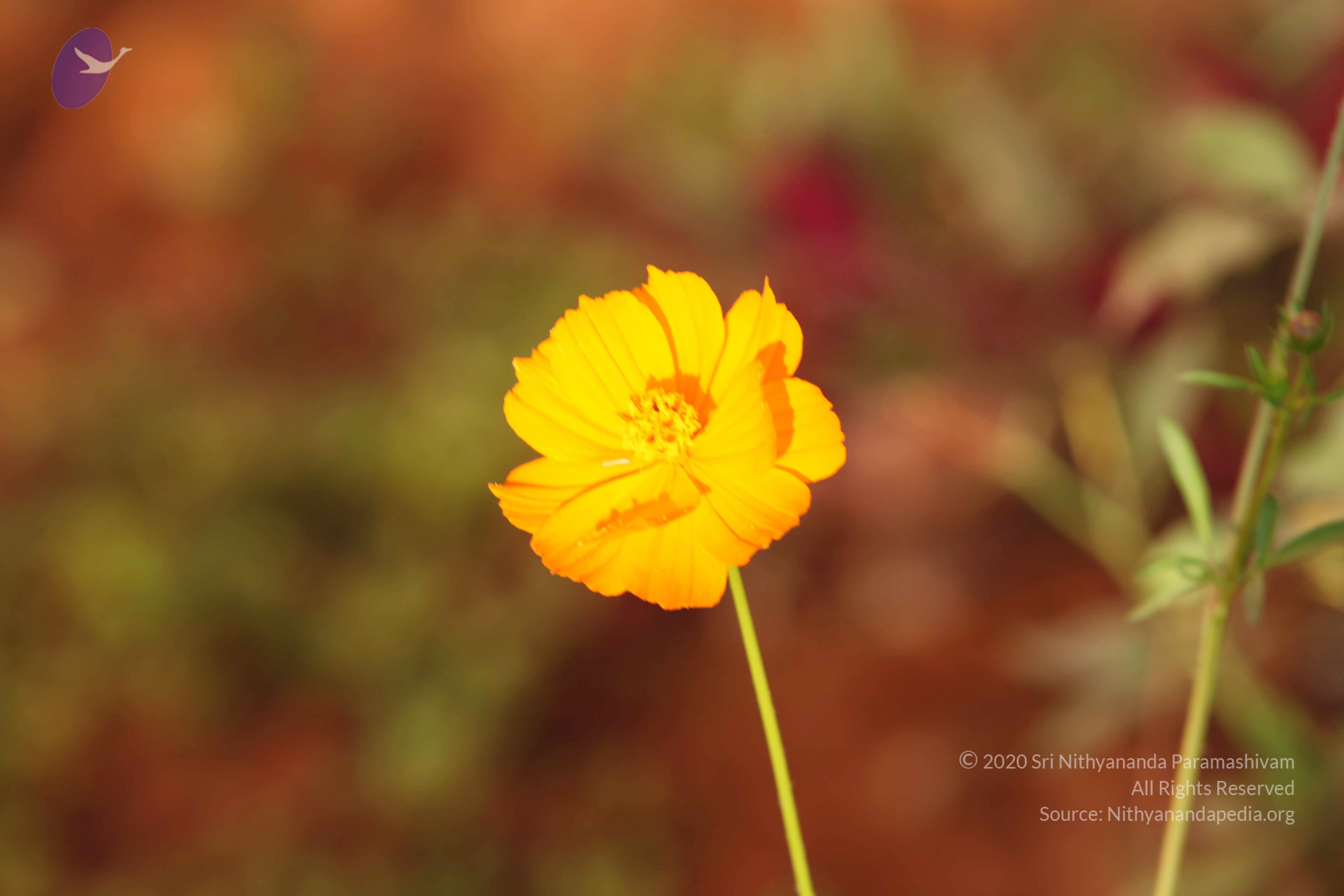 20110121_Photo_1195_IMG_2015_CMP_WM