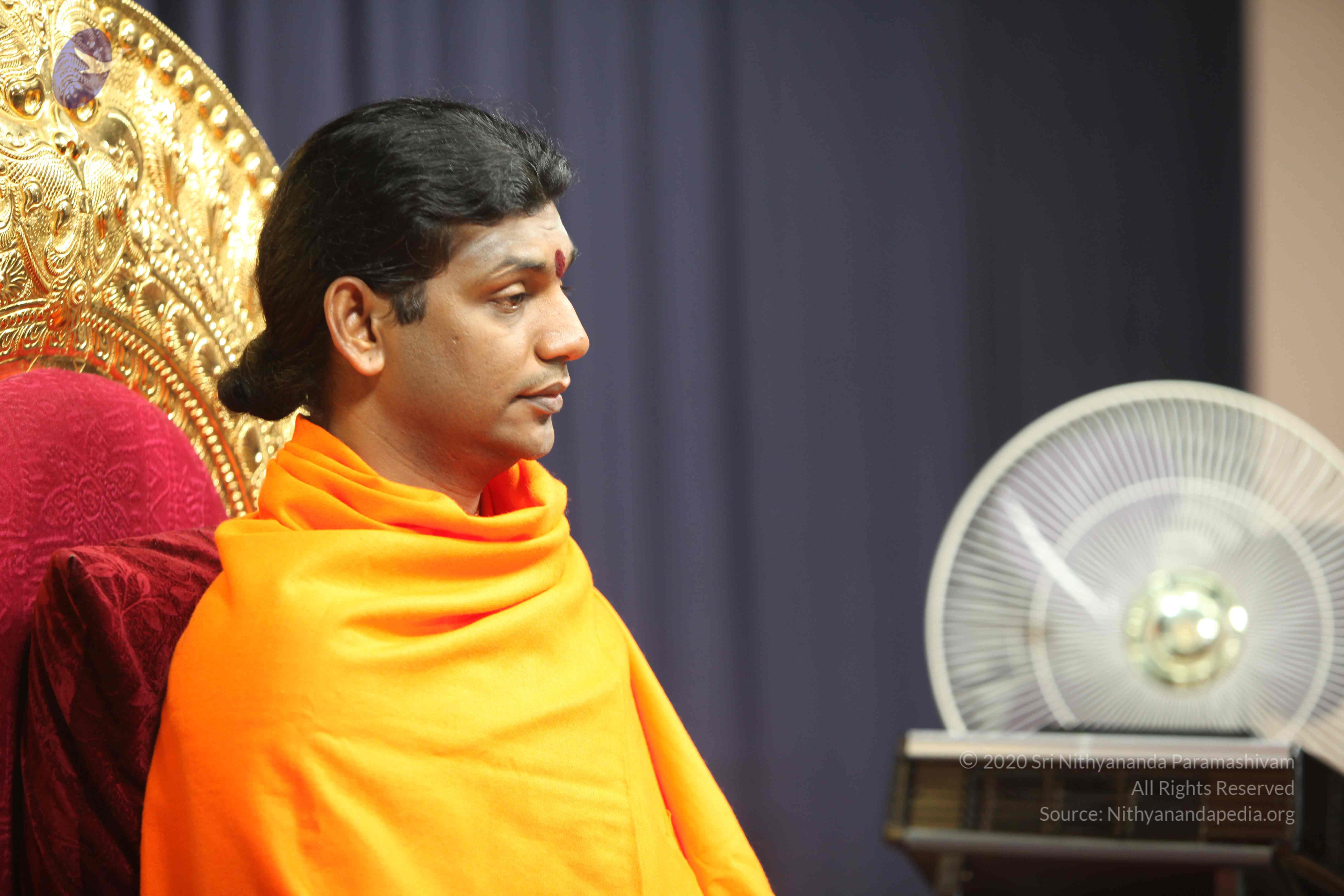 20110121_Photo_1036_IMG_2168_CMP_WM