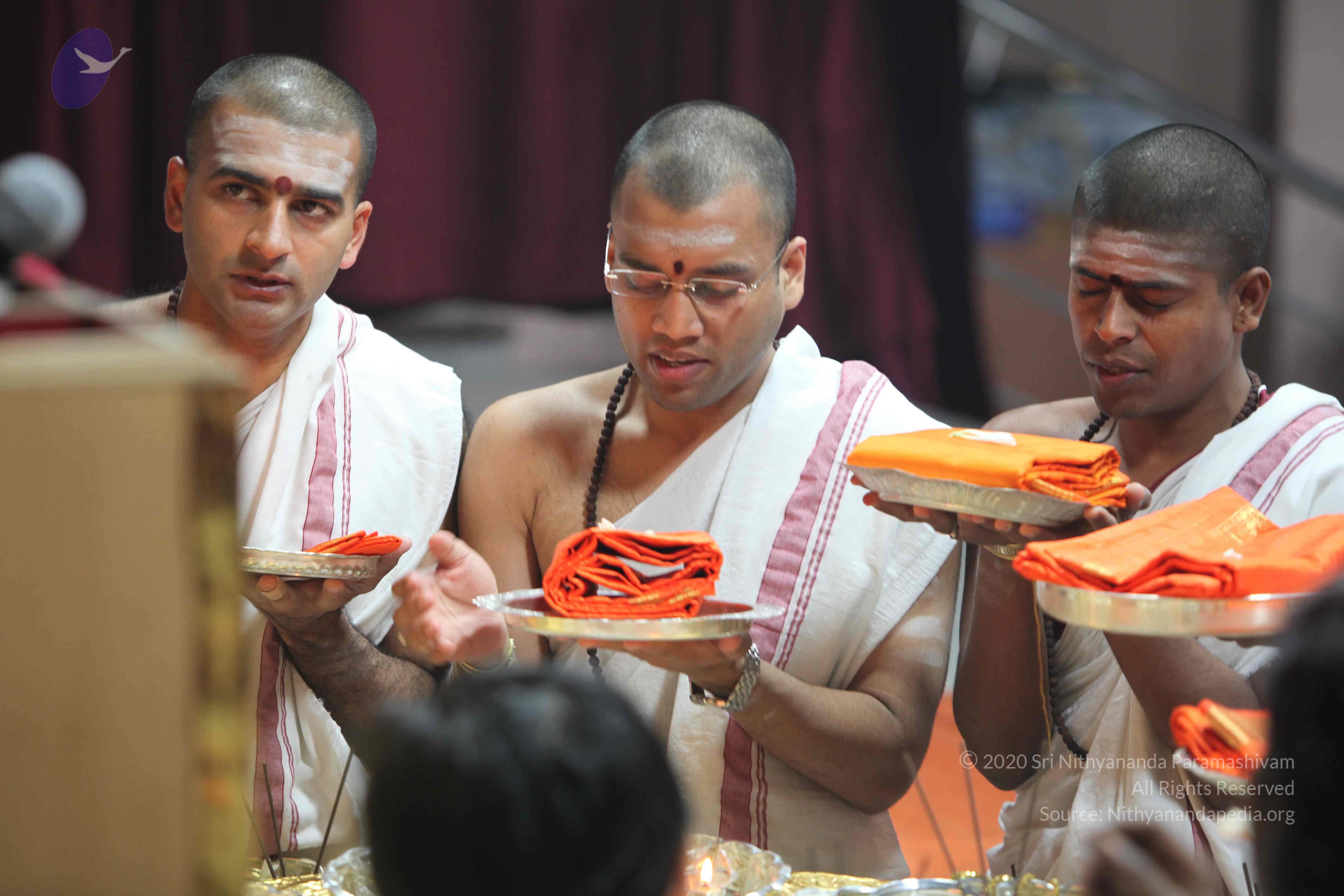 20110121_Photo_1120_IMG_2173_CMP_WM