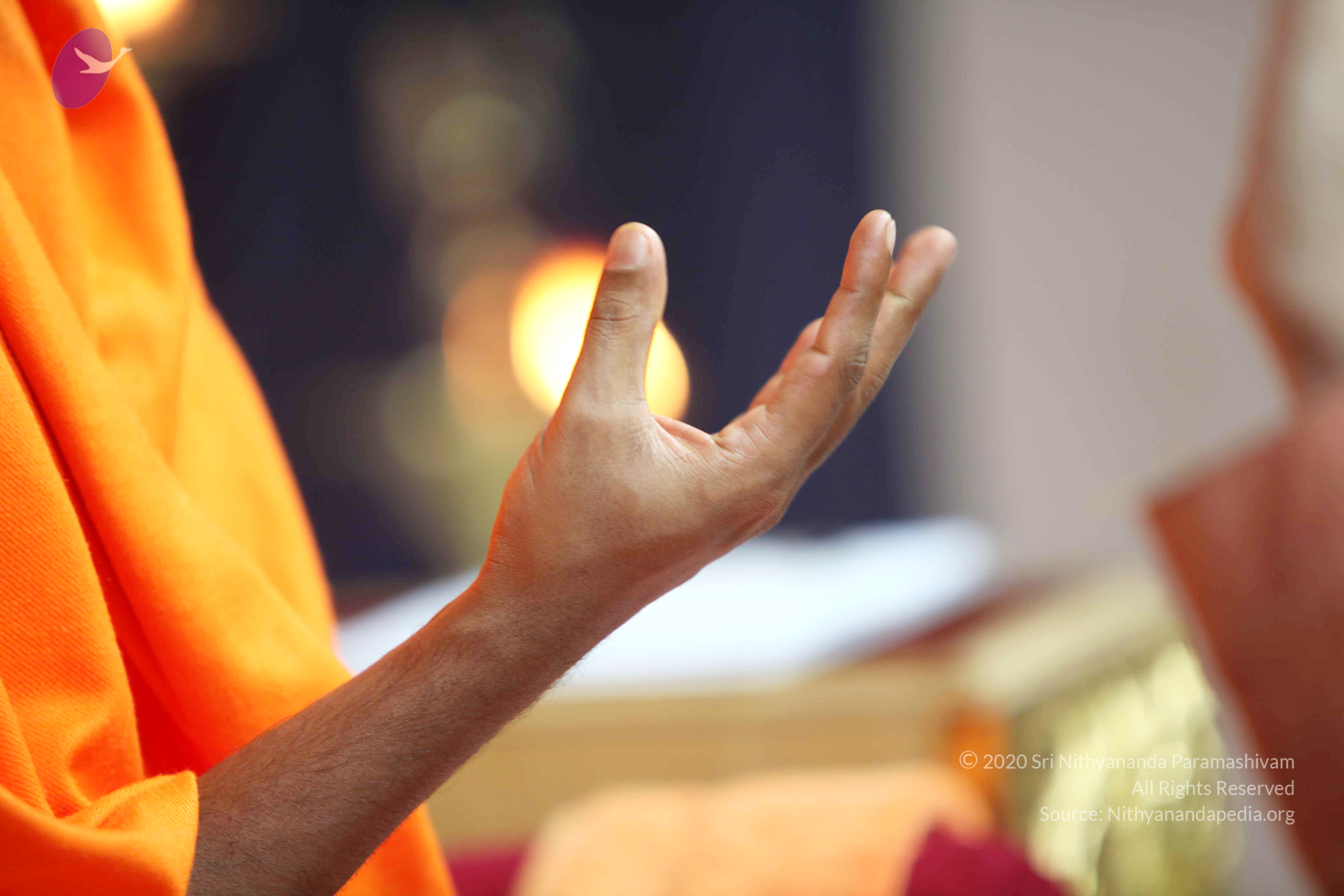 20110121_Photo_1016_IMG_2566_CMP_WM