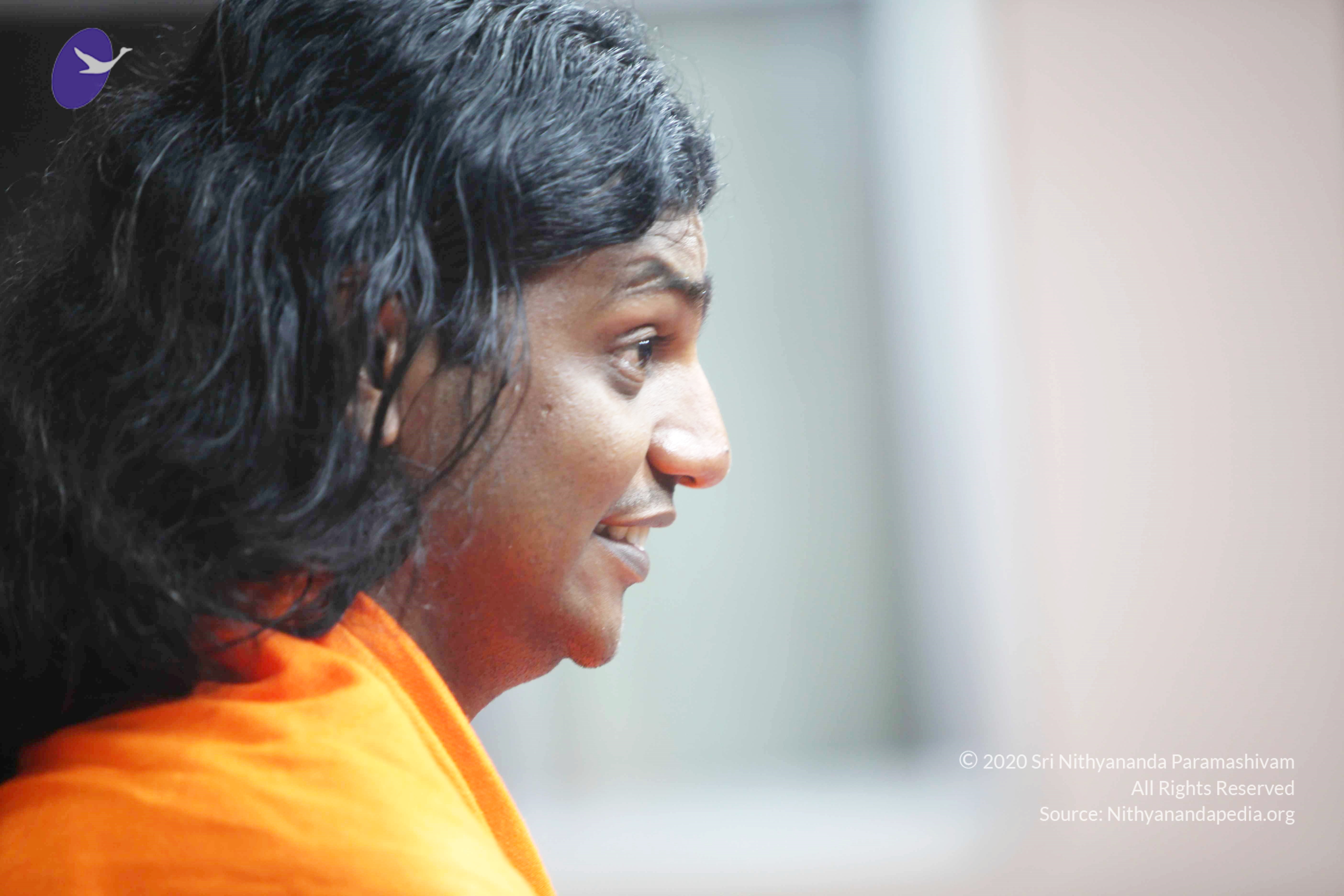 20110121_Photo_1022_IMG_2635_CMP_WM