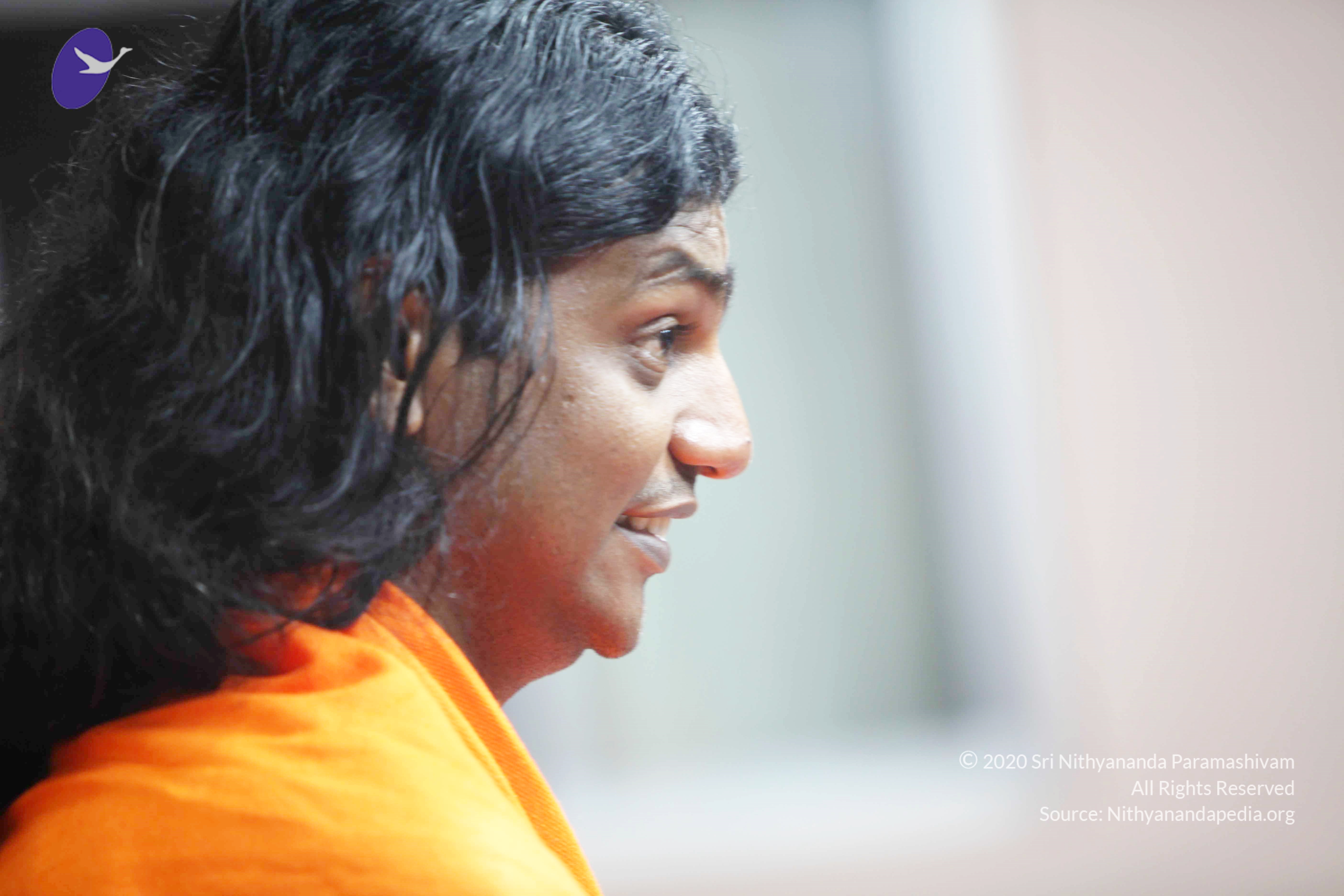 20110121_Photo_1046_IMG_2637_CMP_WM