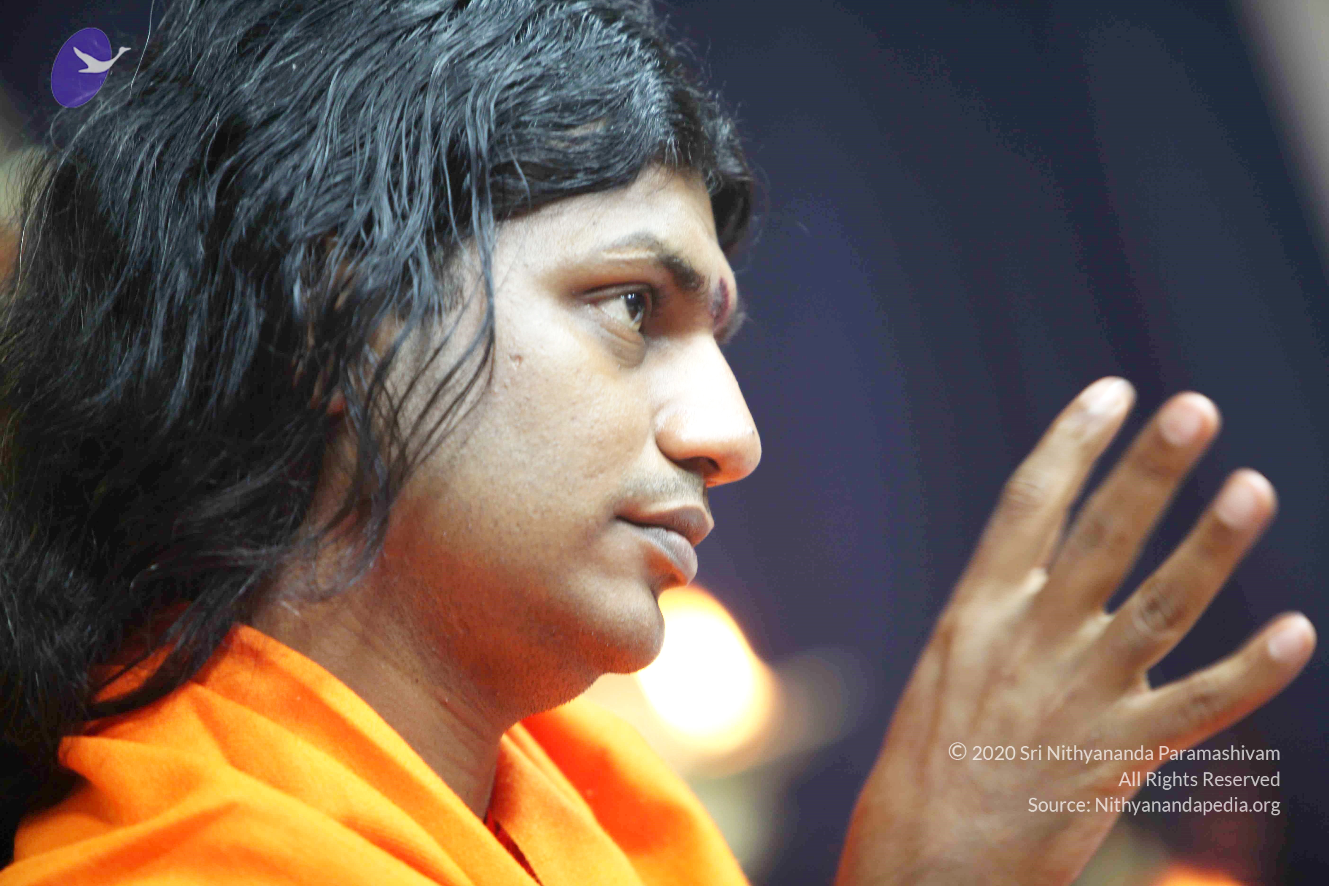 20110121_Photo_1068_IMG_2573_CMP_WM