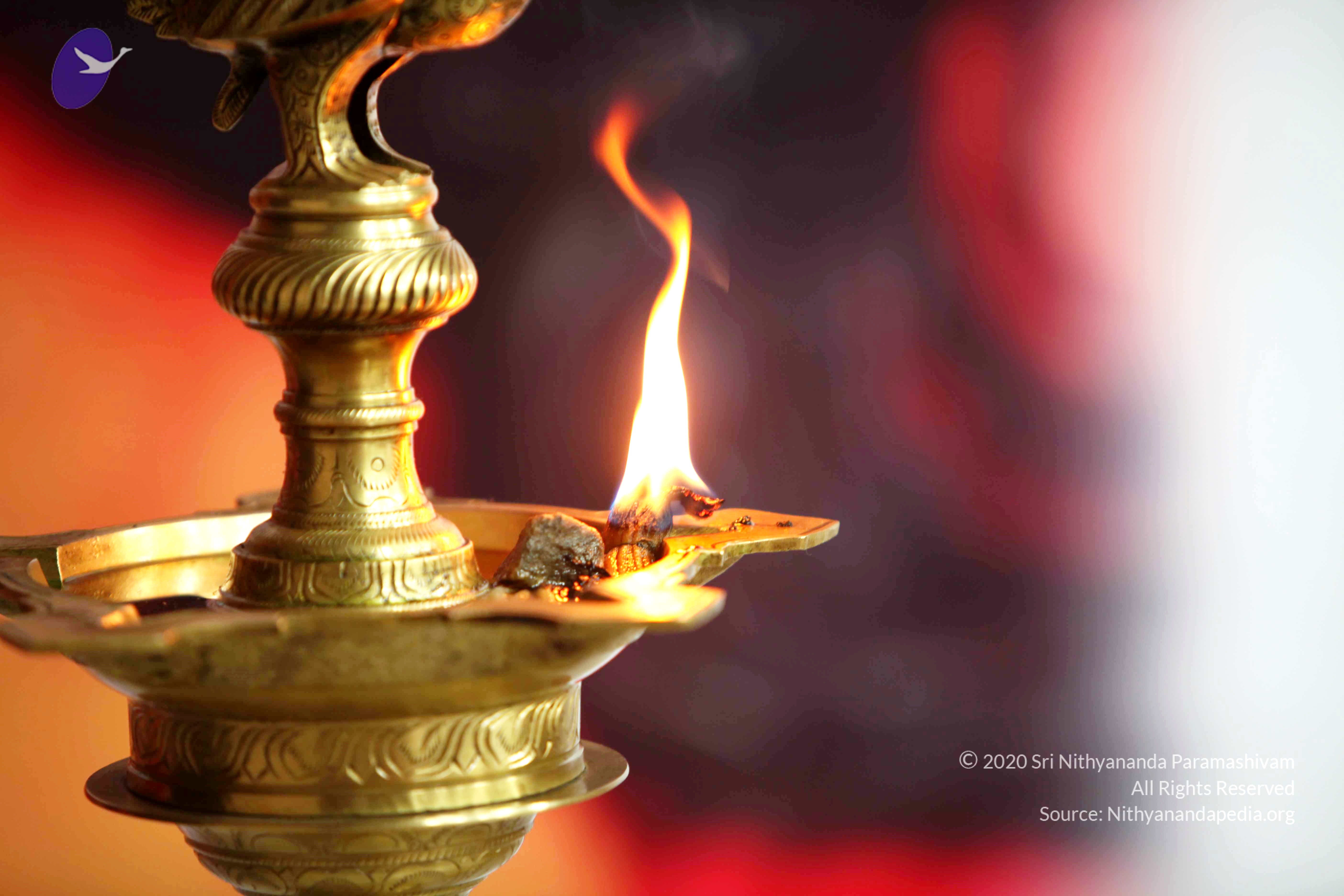 20110121_Photo_1093_IMG_2654_CMP_WM