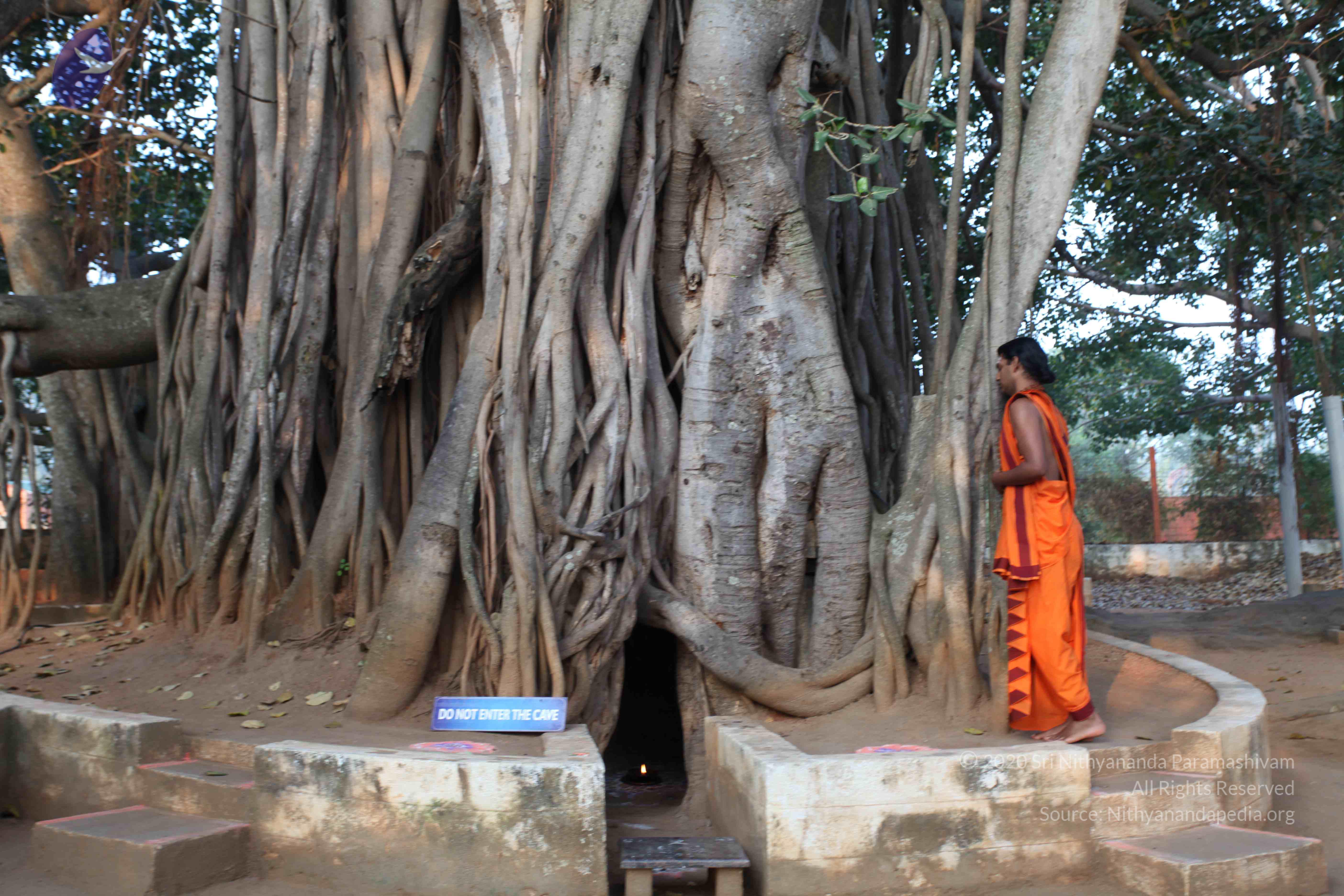 20110122_Photo_1000_IMG_2738_CMP_WM