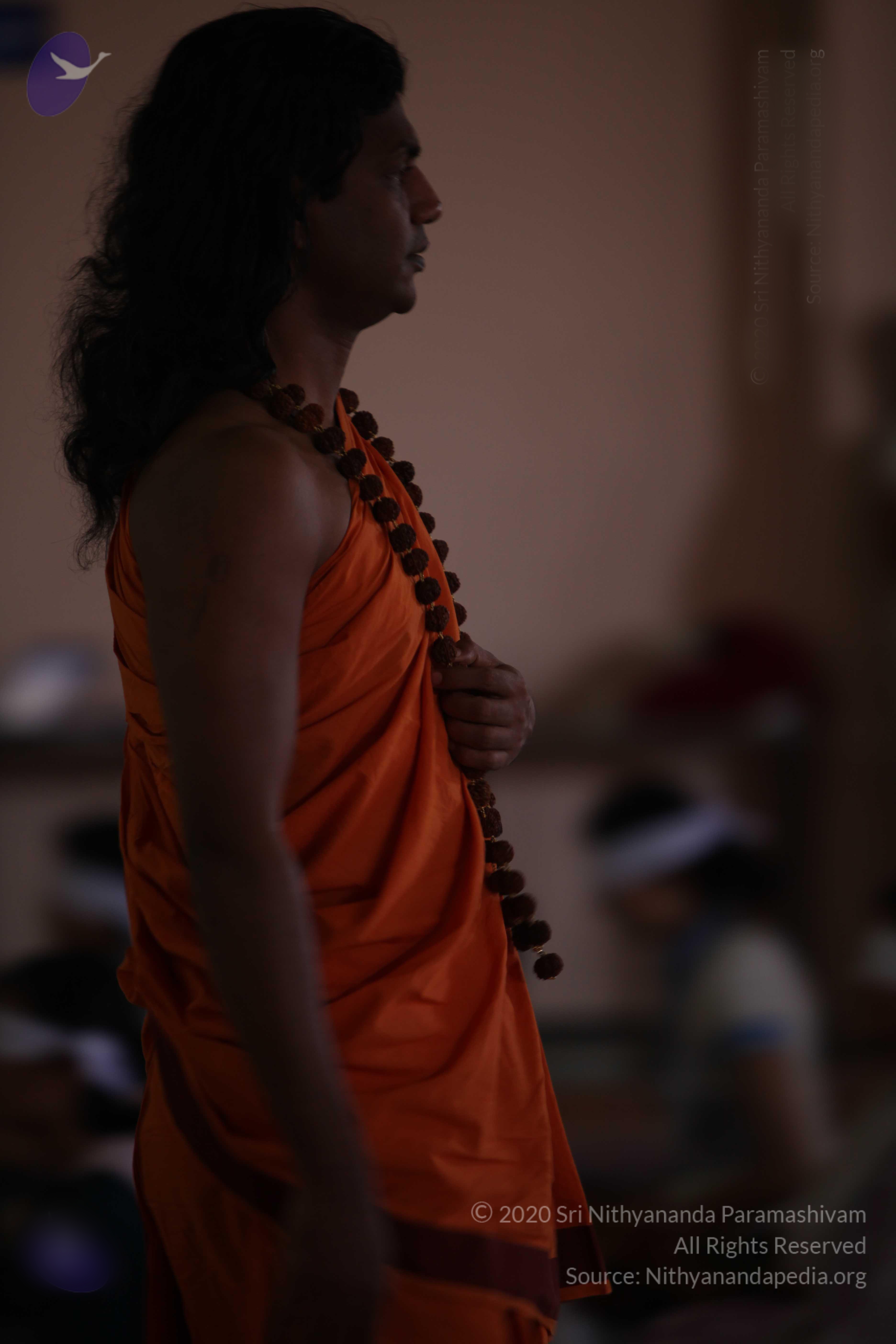 20110122_Photo_1008_IMG_3027_CMP_WM