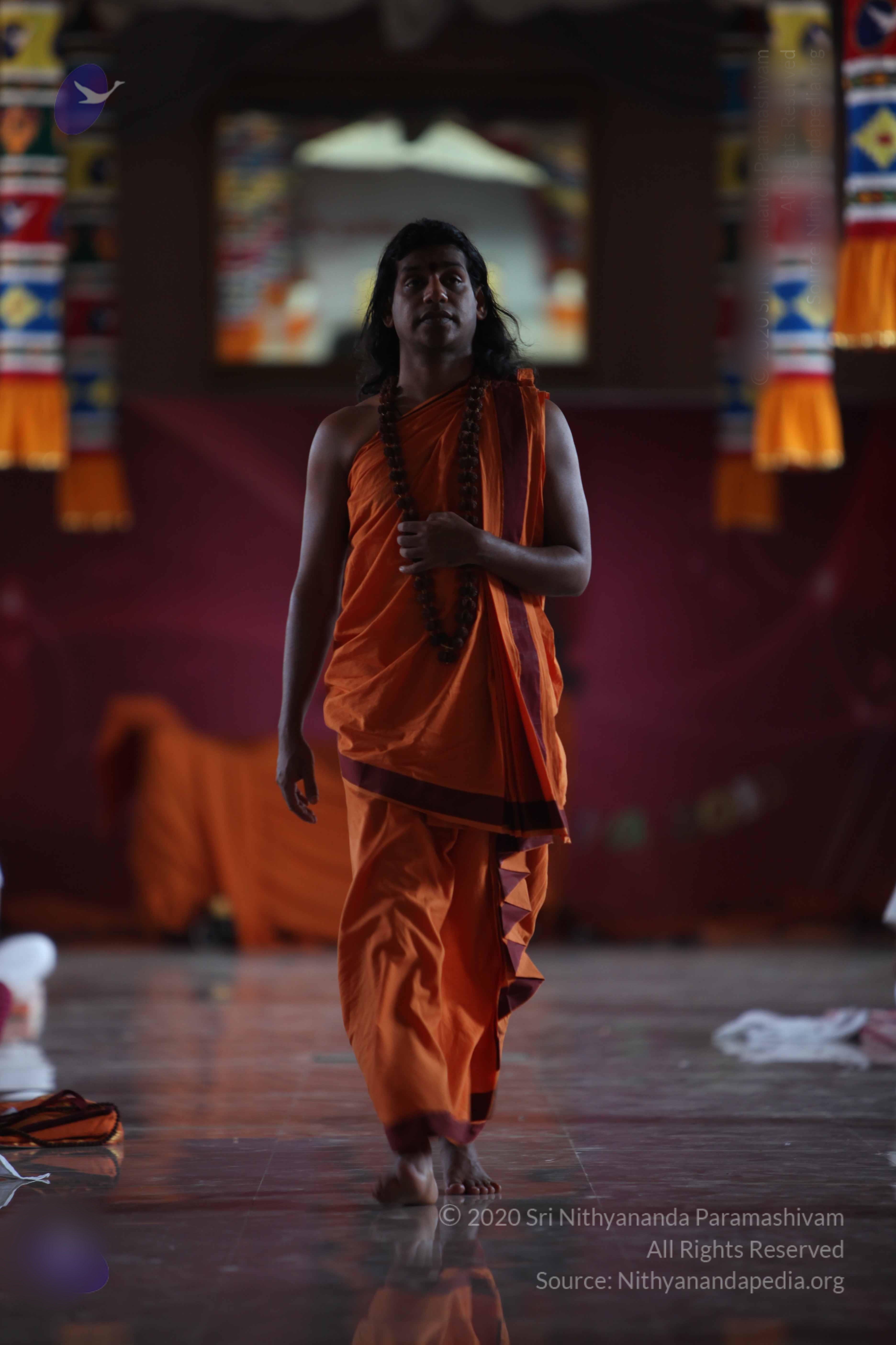 20110122_Photo_1011_IMG_3045_CMP_WM