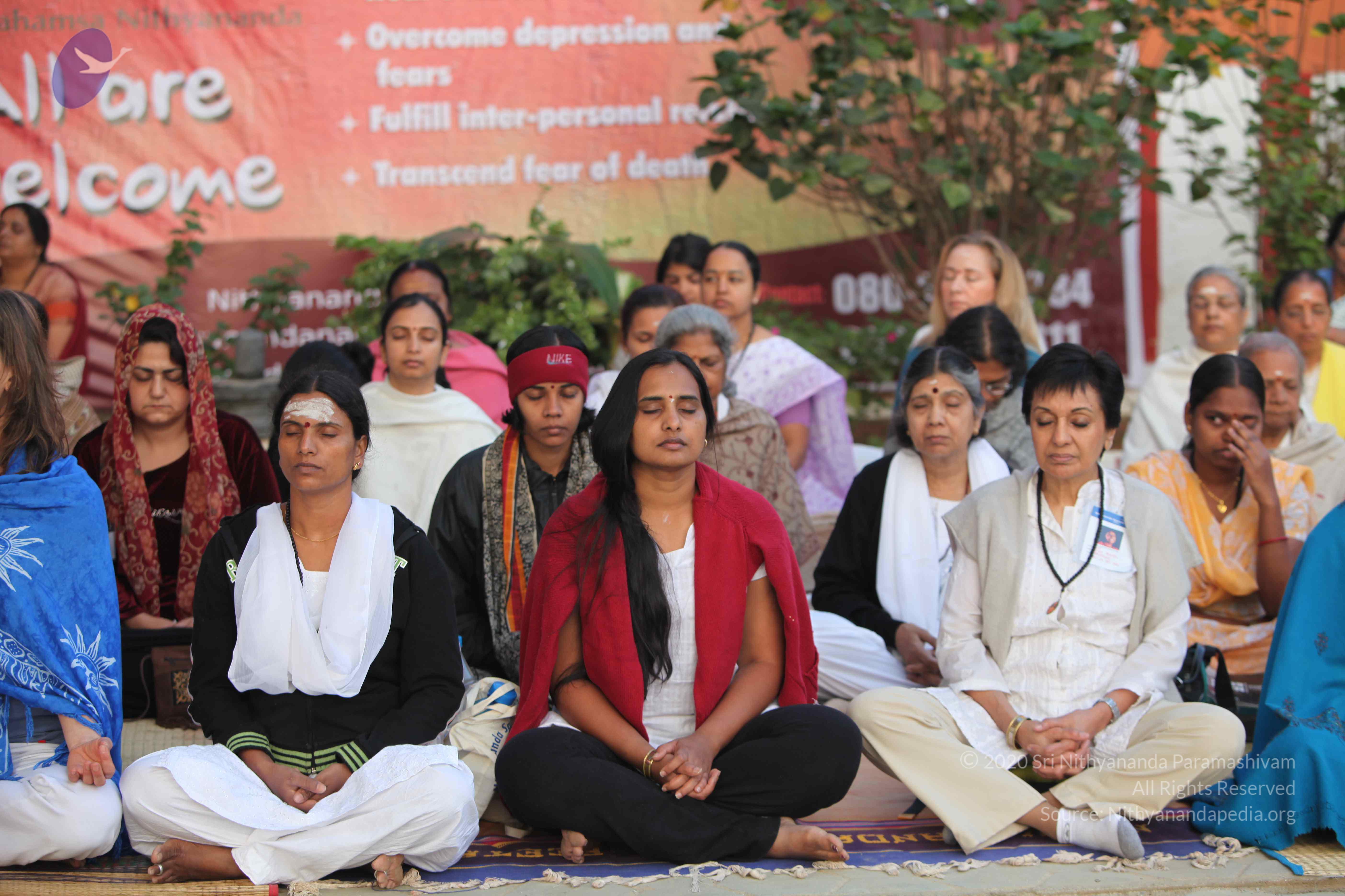 20110122_Photo_1013_IMG_2771_CMP_WM