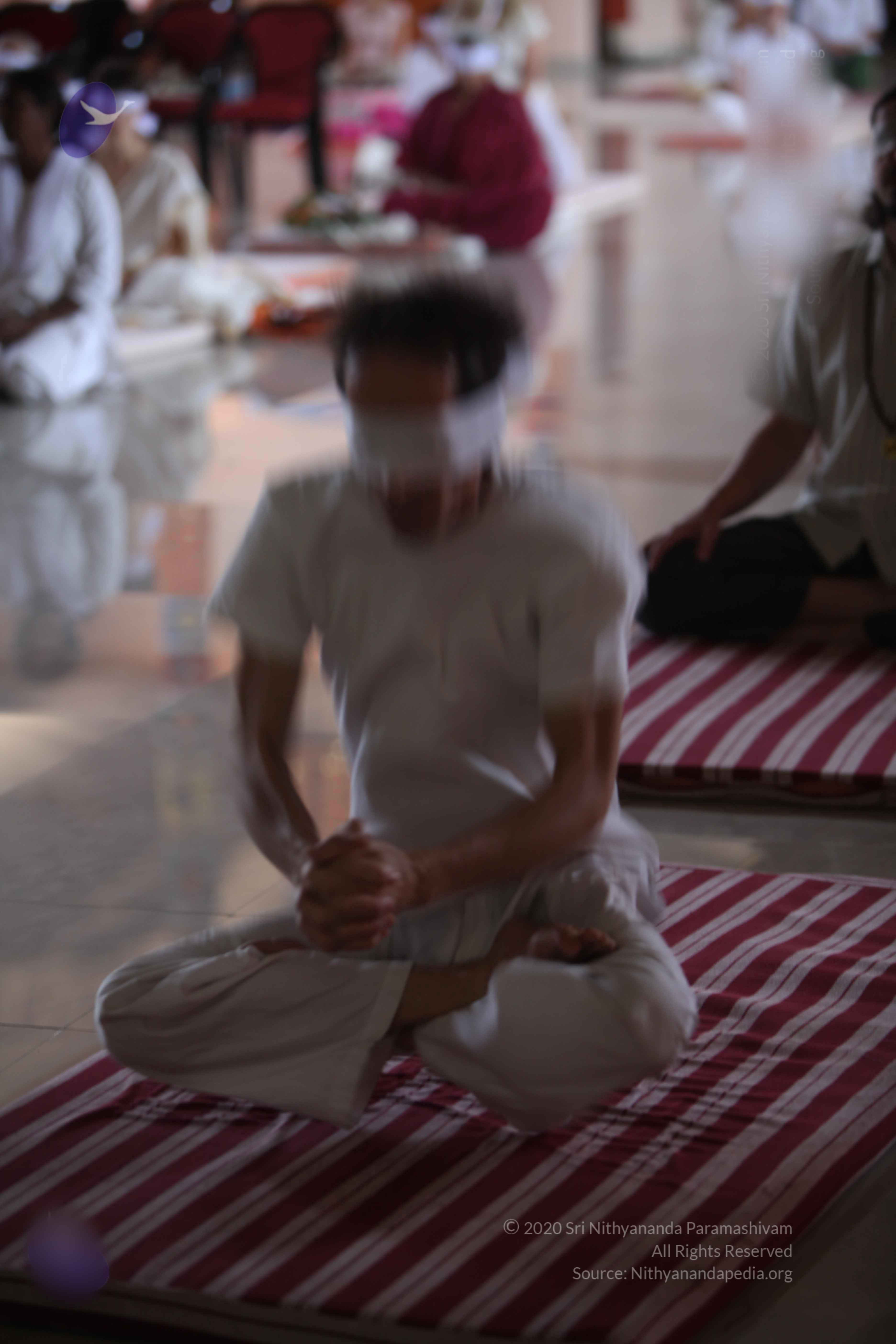 20110122_Photo_1022_batch_IMG_3010_CMP_WM