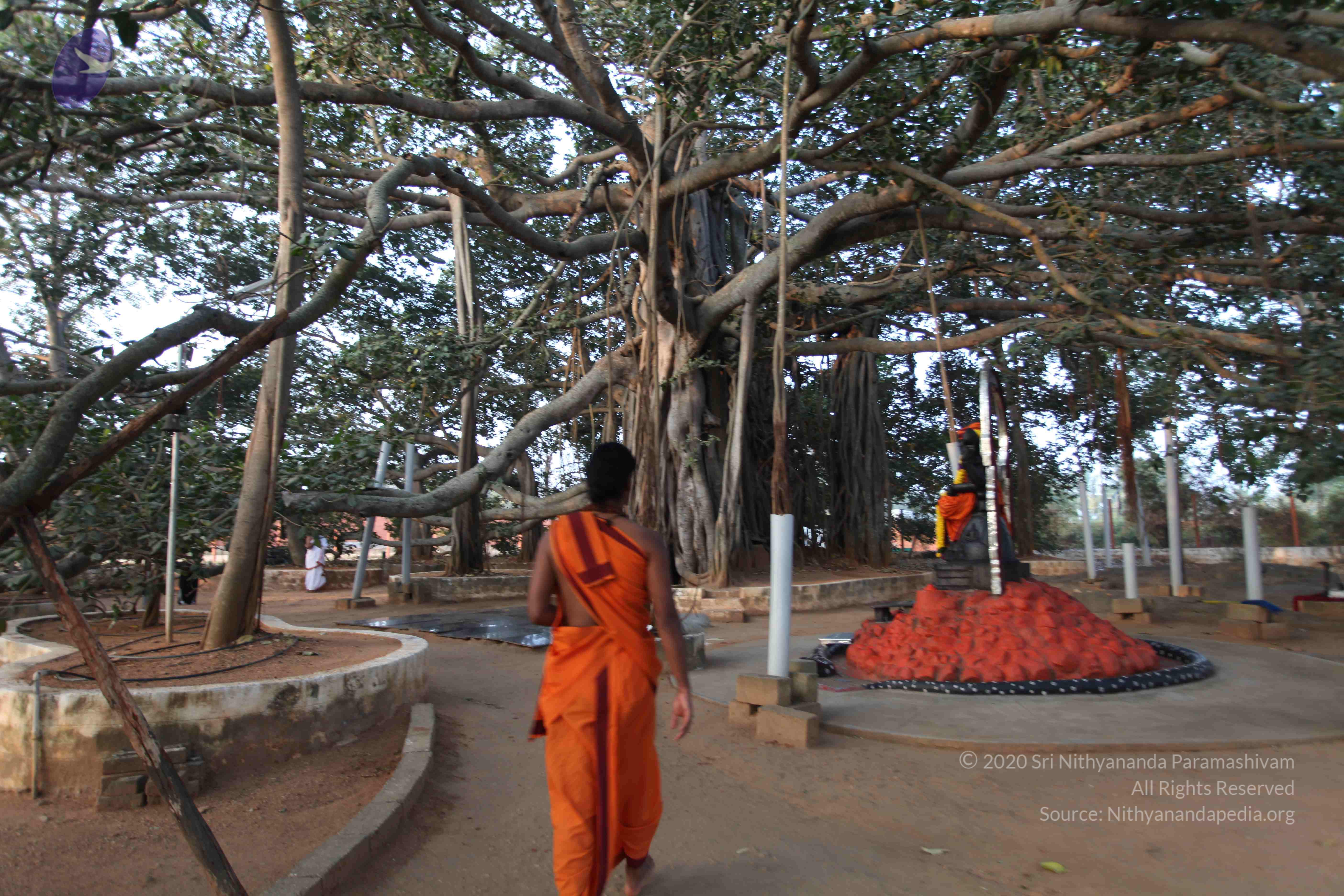 20110122_Photo_1032_IMG_2735_CMP_WM