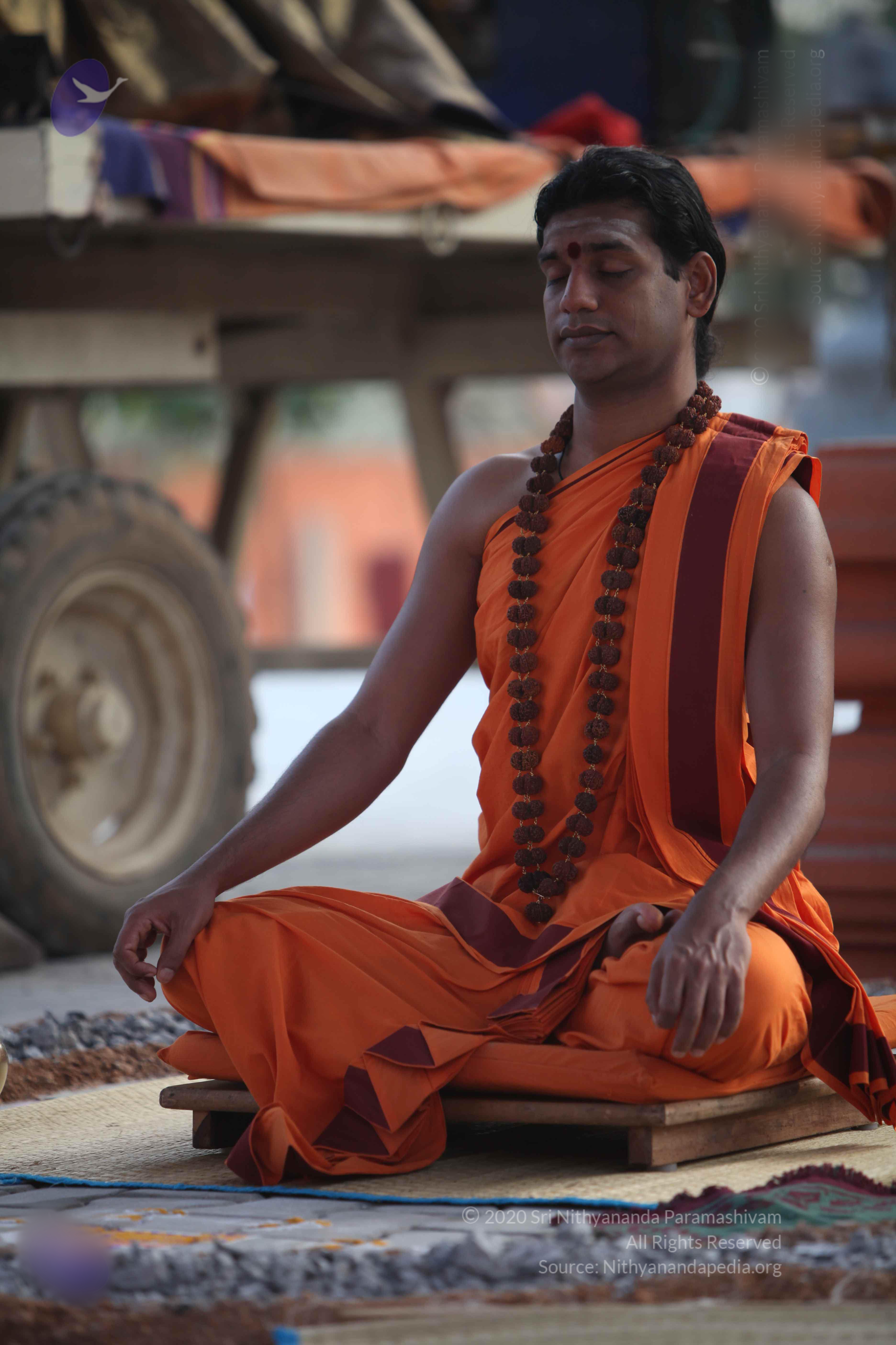 20110122_Photo_1033_IMG_2806_CMP_WM