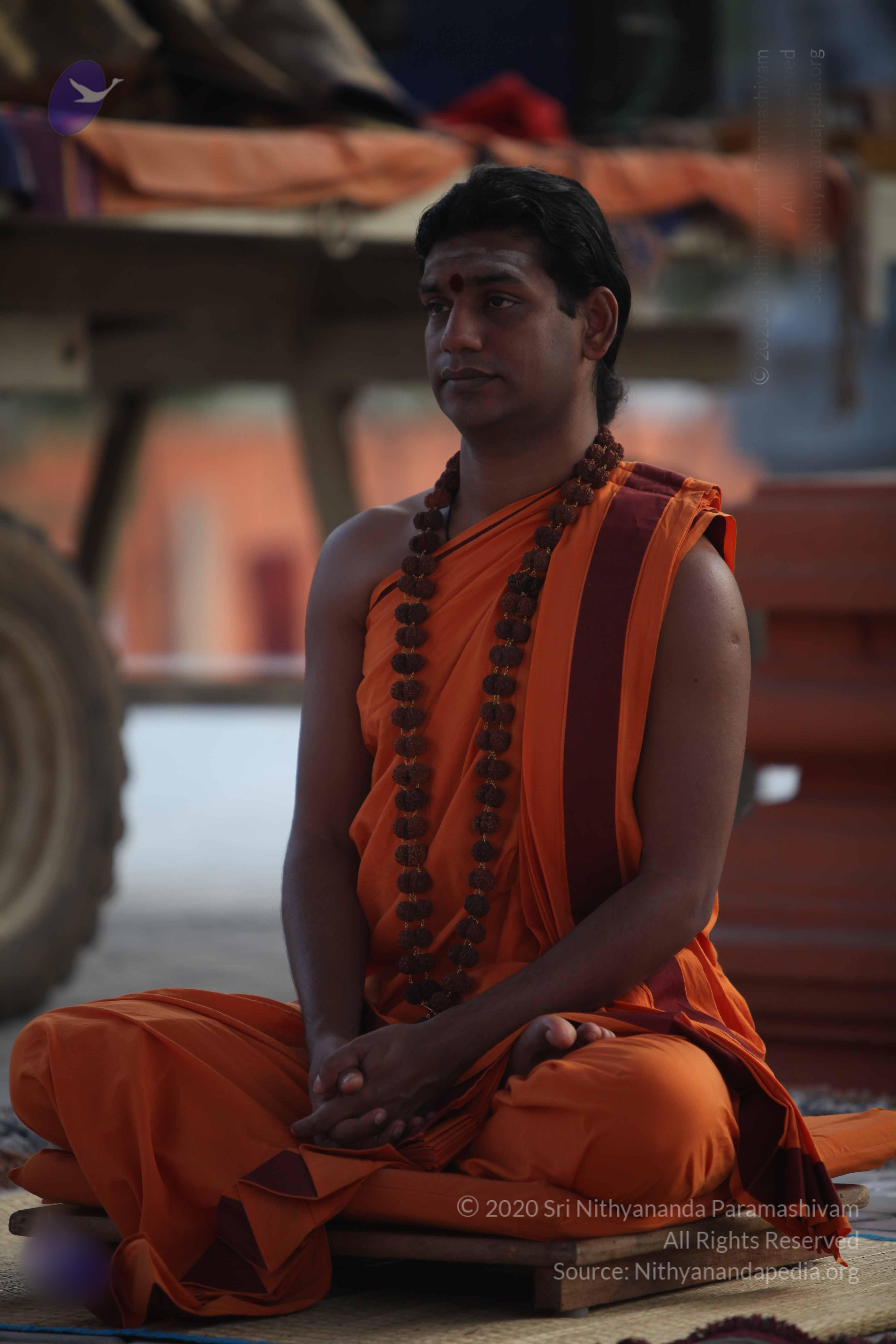 20110122_Photo_1039_IMG_2783_CMP_WM