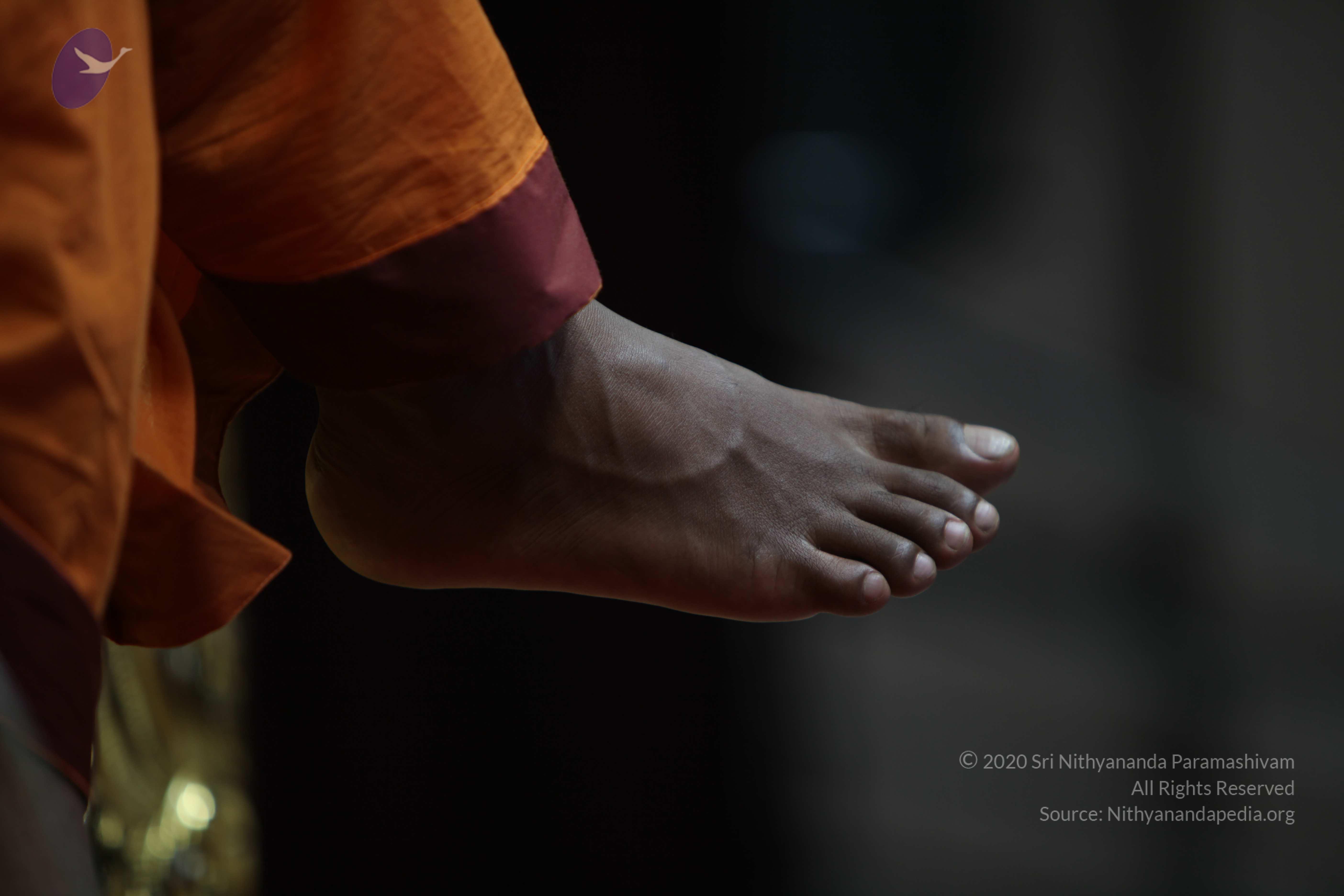 20110122_Photo_1041_IMG_3202_CMP_WM