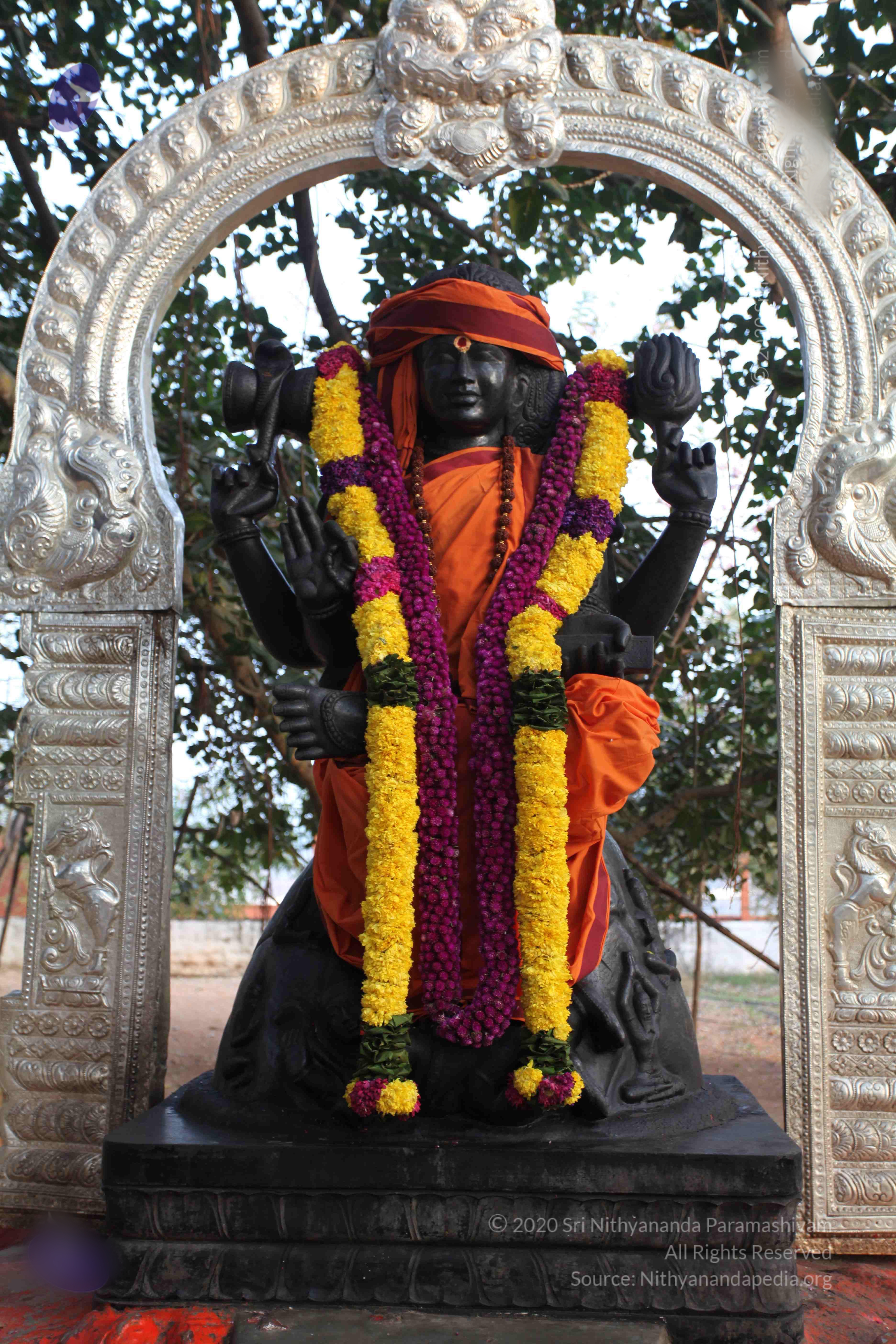 20110122_Photo_1043_IMG_2752_CMP_WM