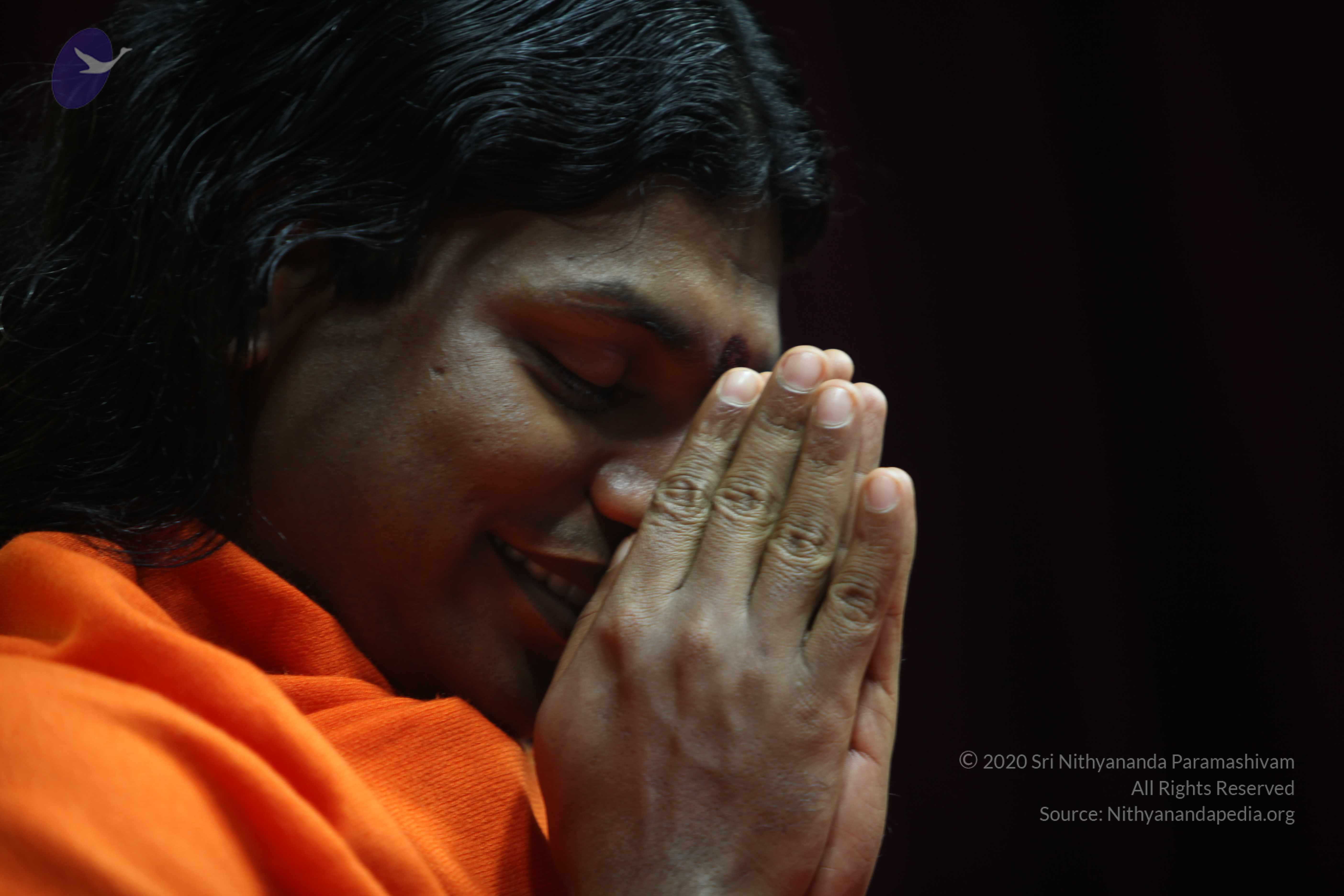 20110122_Photo_1050_IMG_3127_CMP_WM