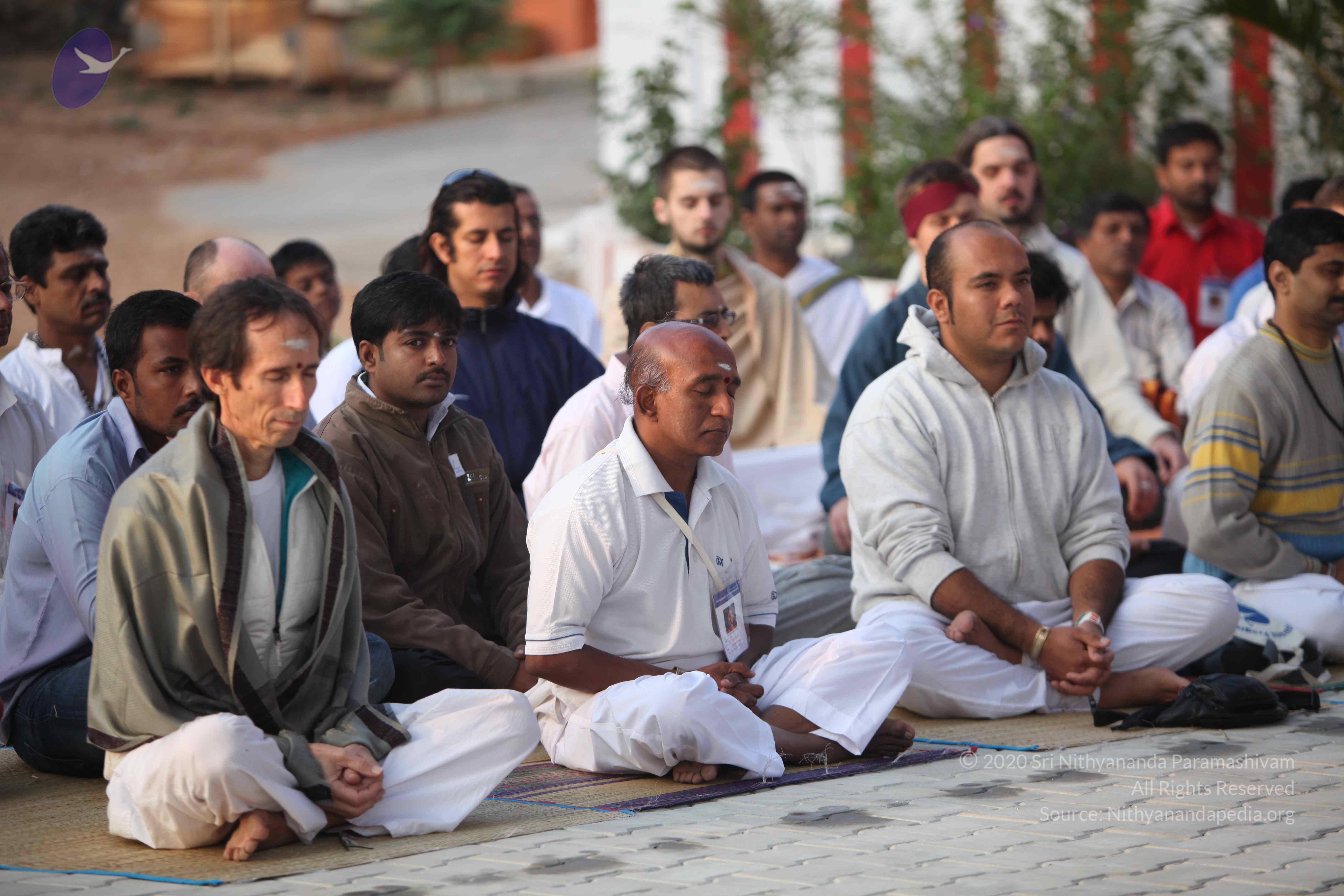 20110122_Photo_1055_IMG_2779_CMP_WM