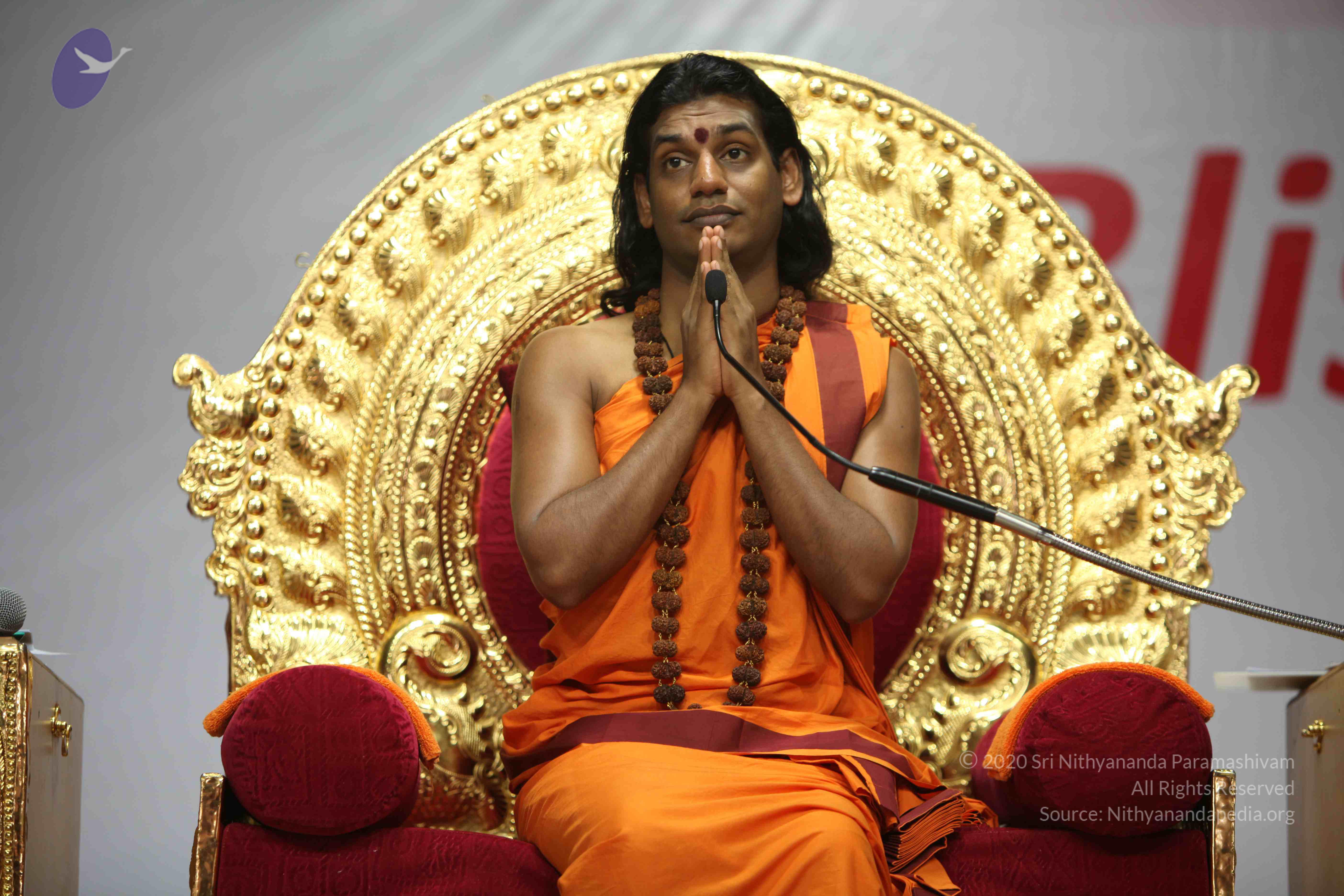 20110122_Photo_1061_IMG_2942_CMP_WM