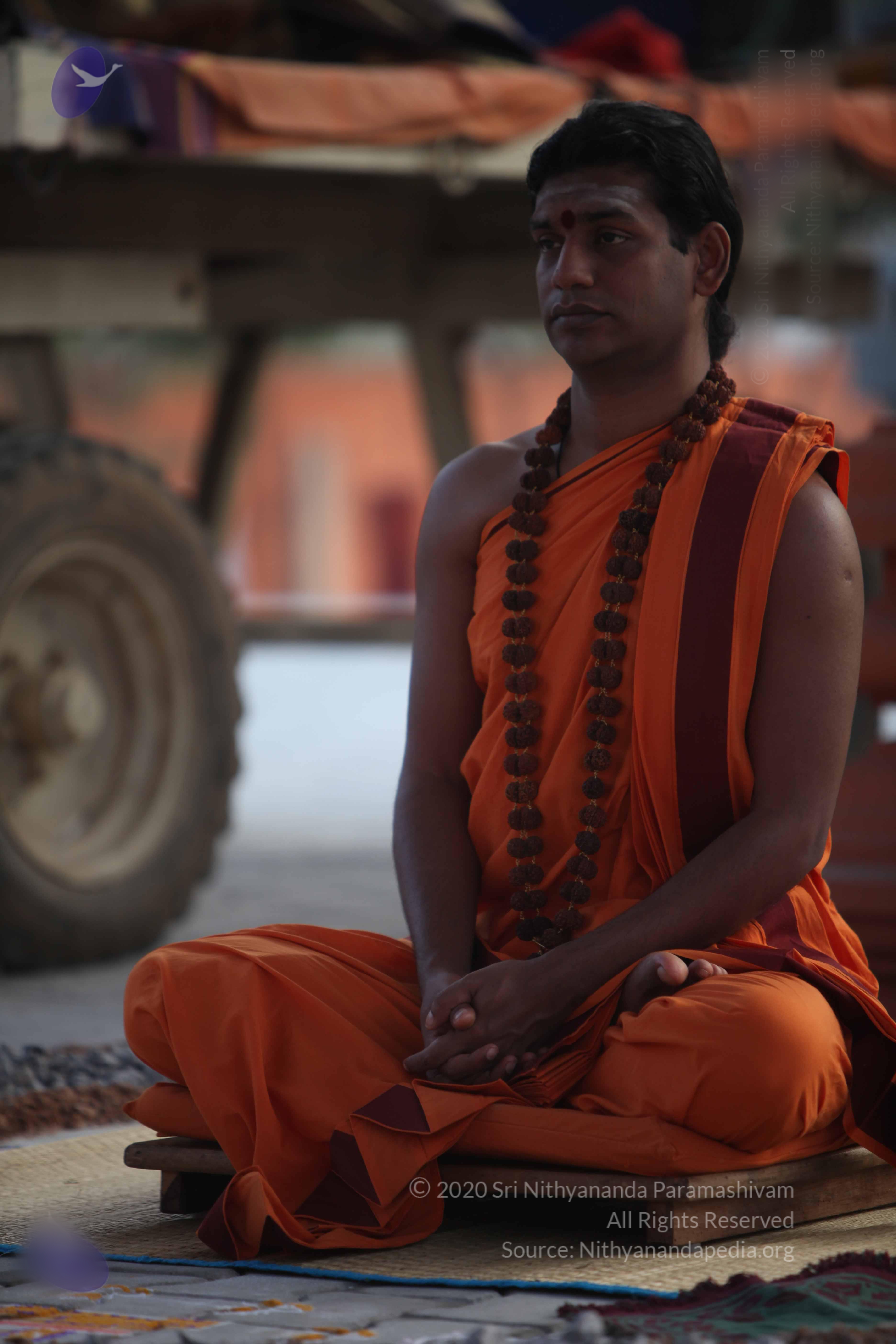 20110122_Photo_1062_IMG_2786_CMP_WM