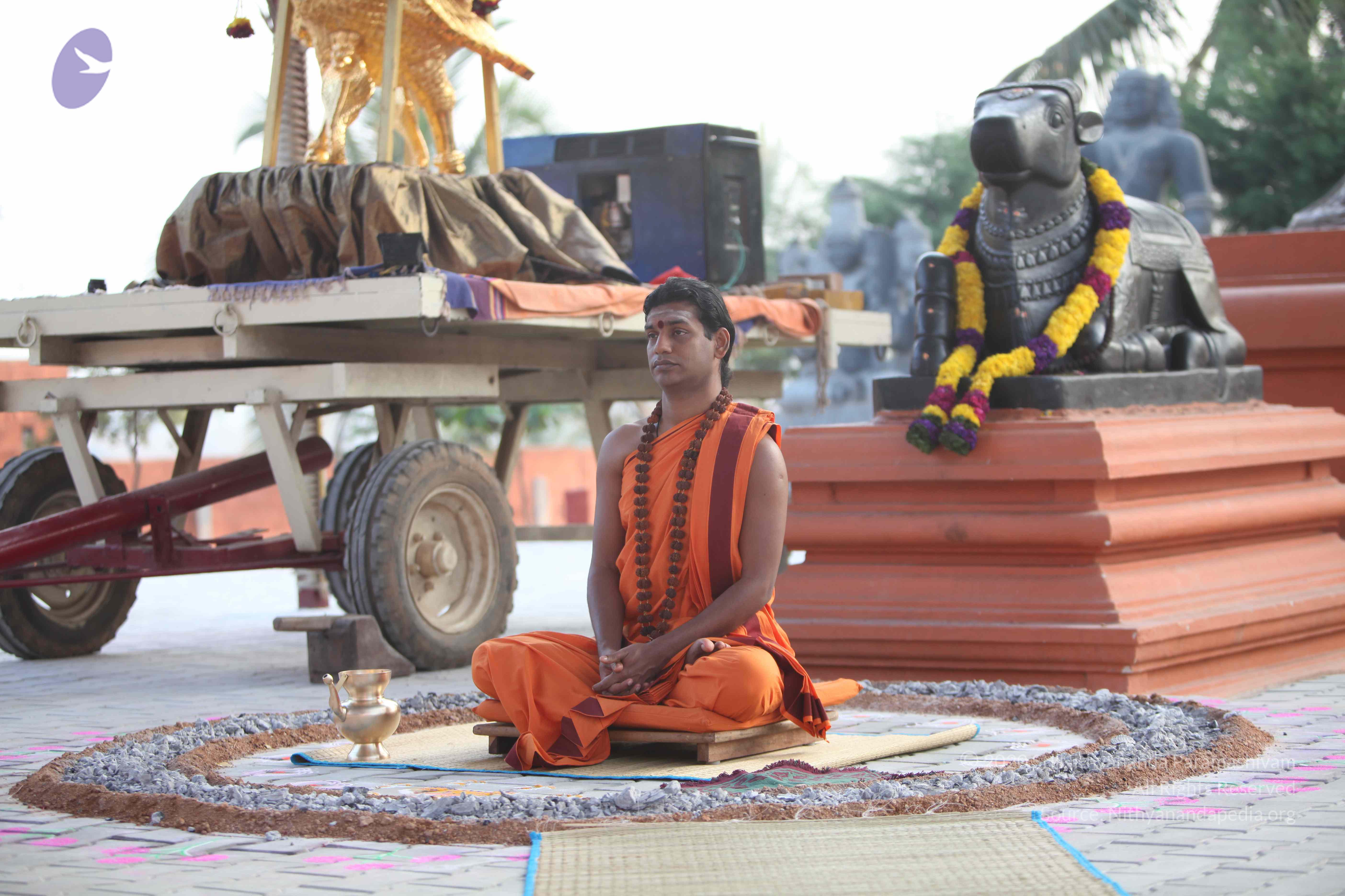 20110122_Photo_1069_IMG_2797_CMP_WM