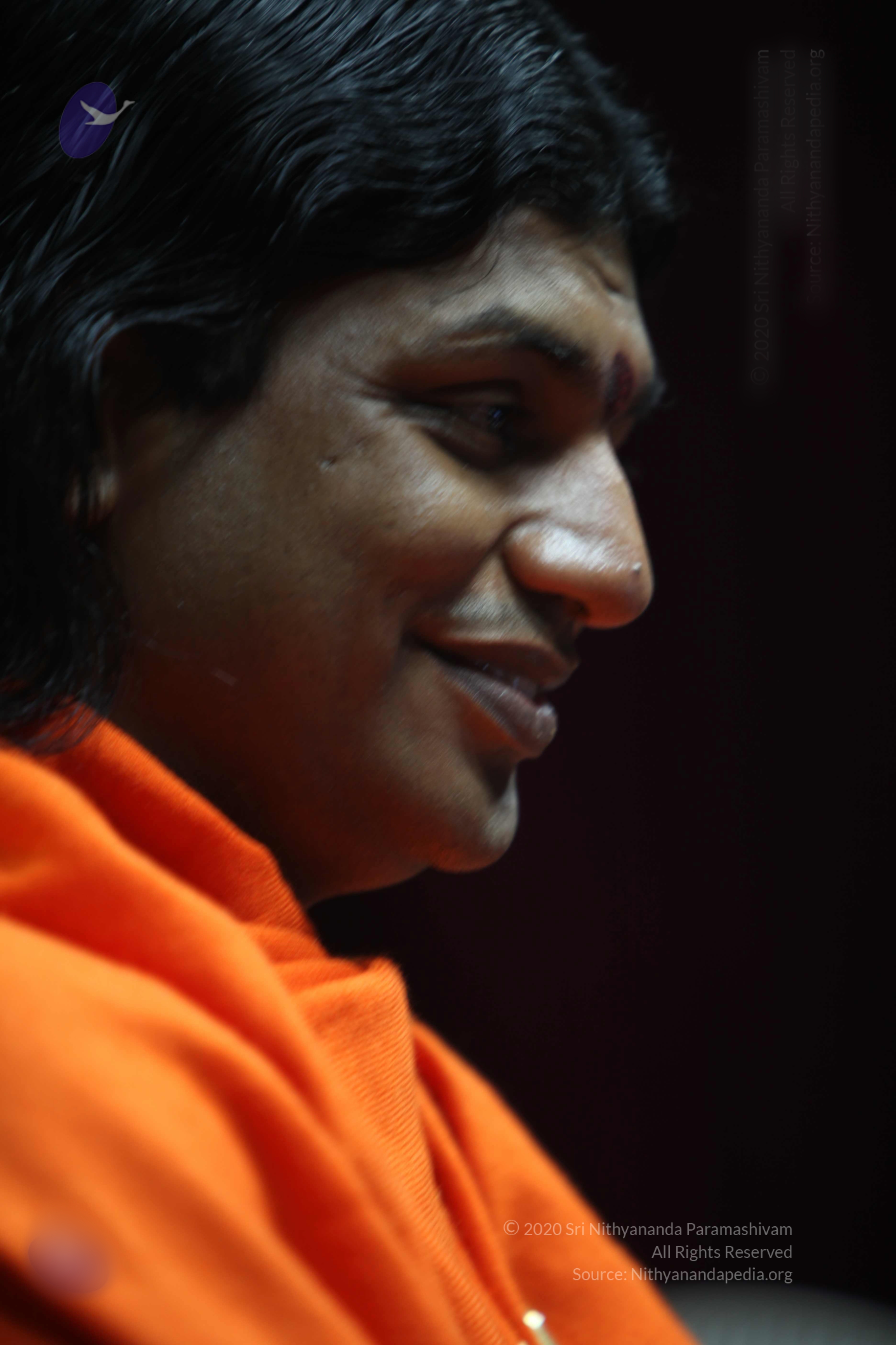 20110122_Photo_1078_batch_IMG_3110_CMP_WM