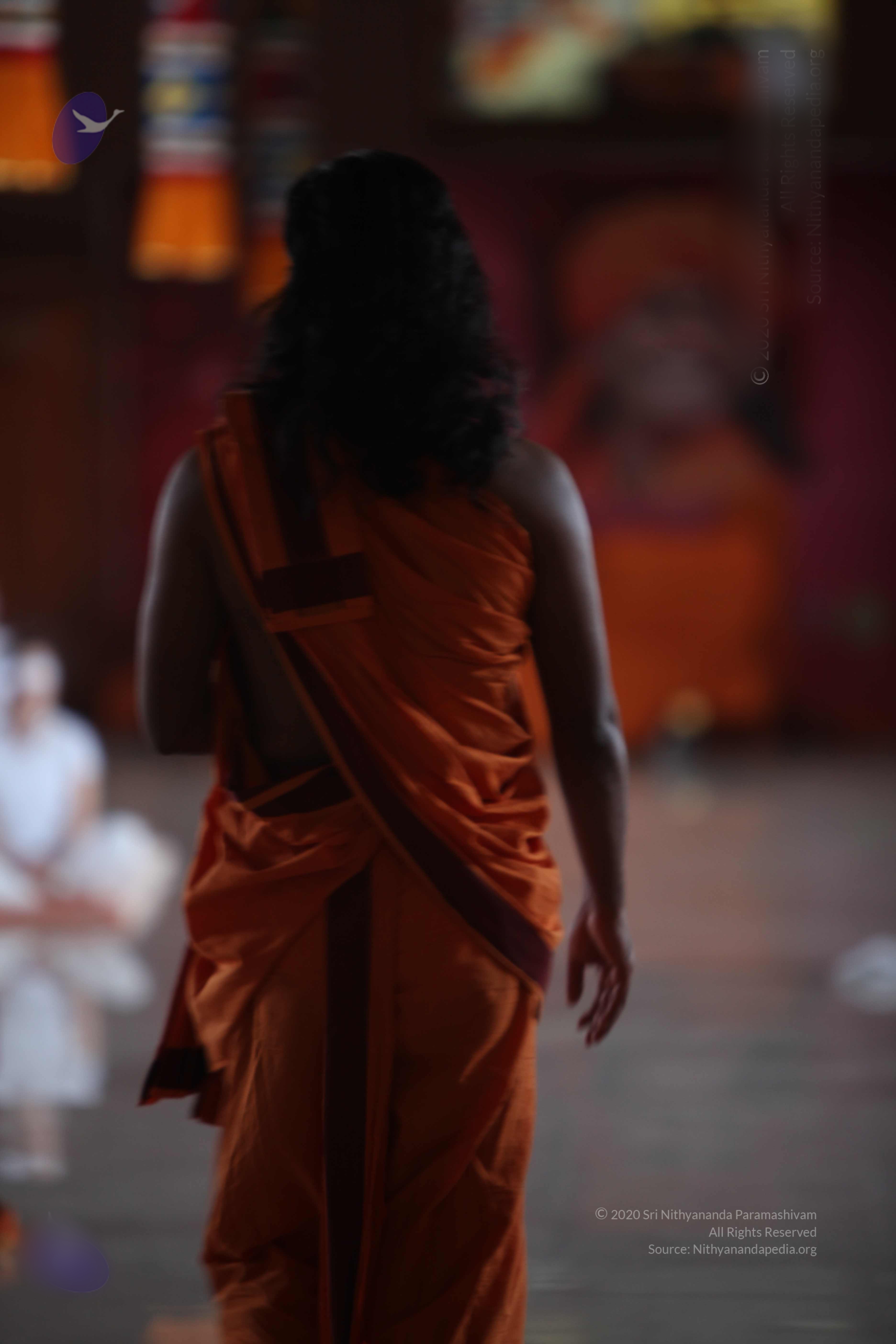 20110122_Photo_1081_IMG_2987_CMP_WM