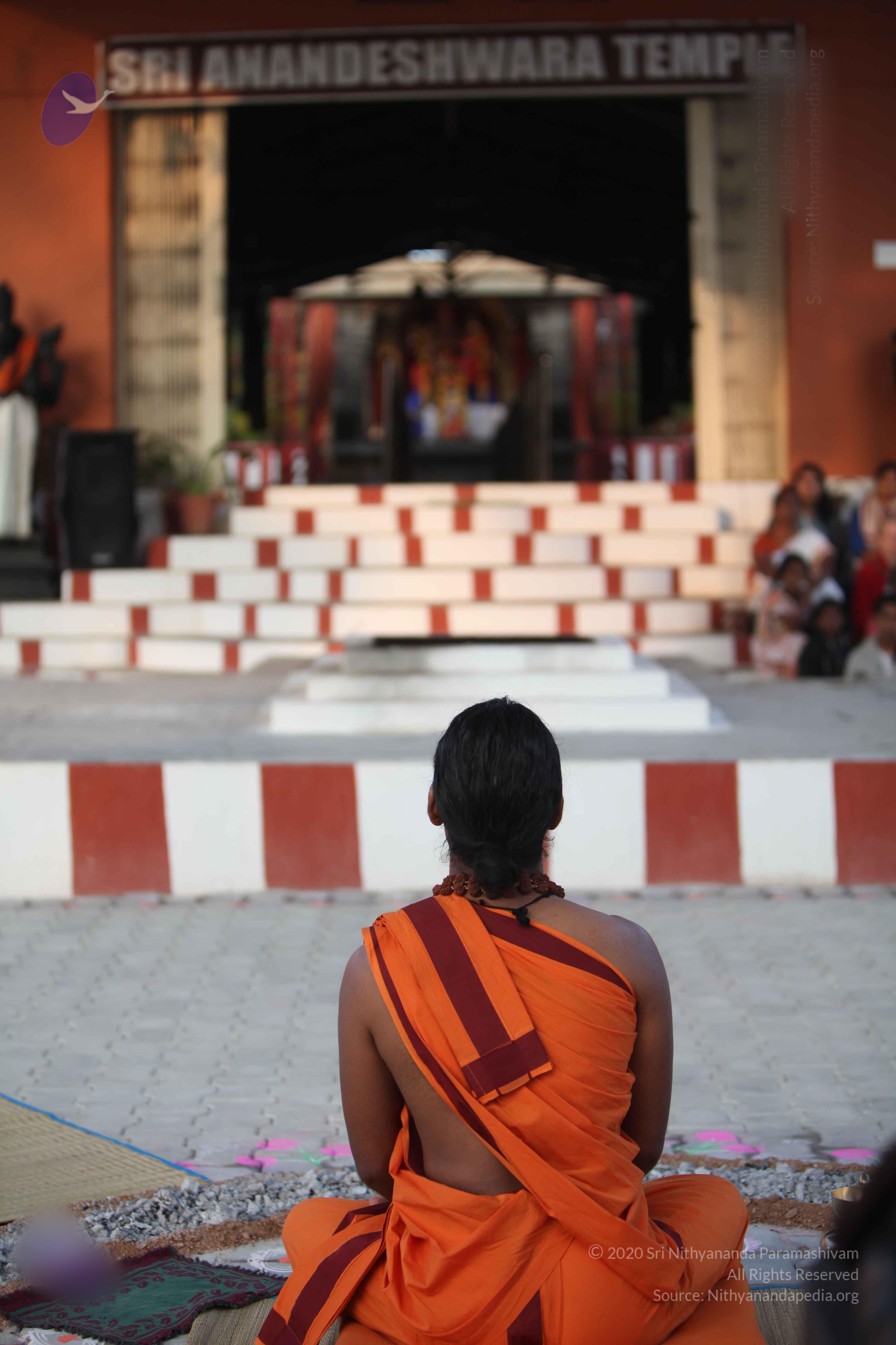 20110122_Photo_1082_IMG_2774_CMP_WM