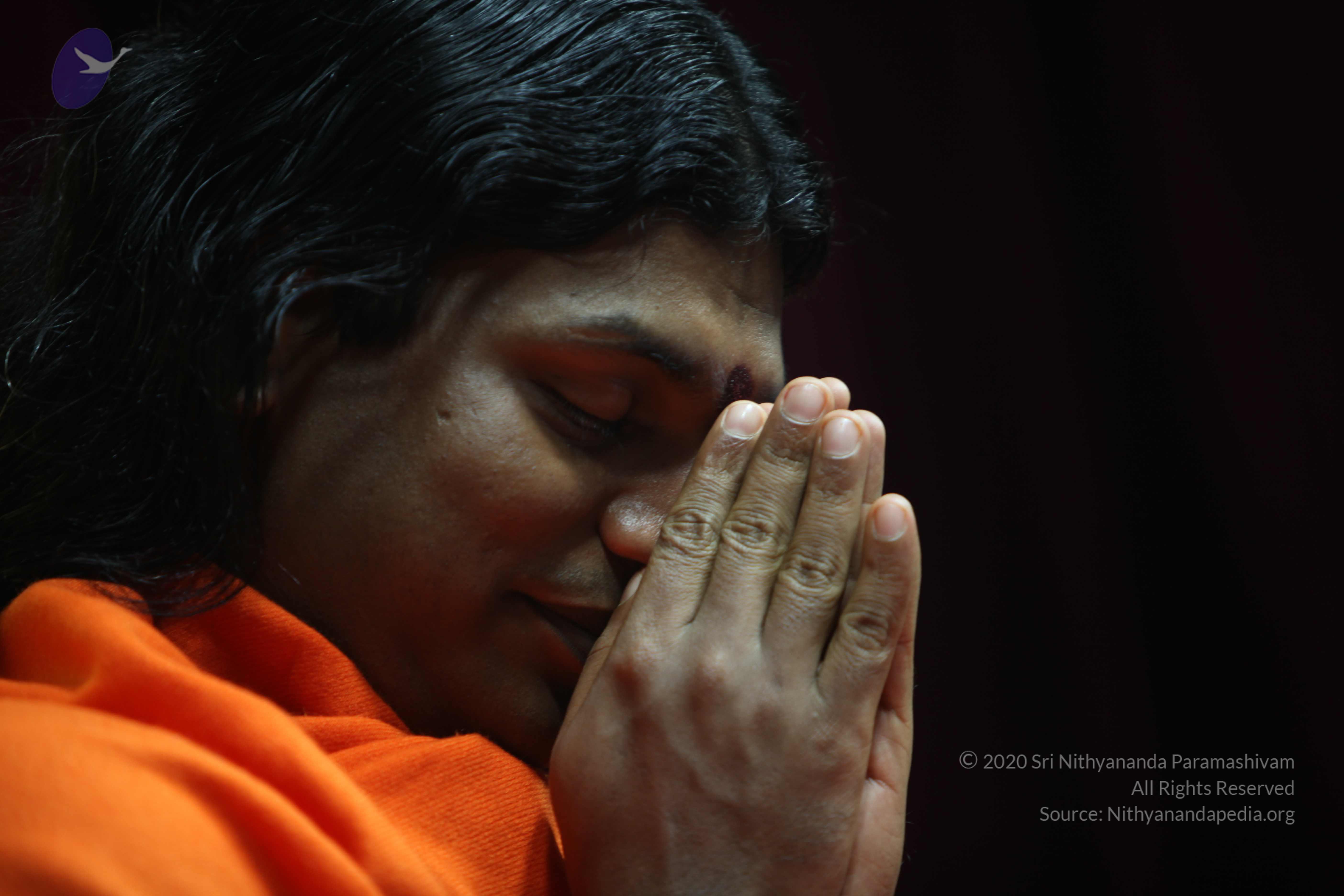 20110122_Photo_1084_IMG_3131_CMP_WM