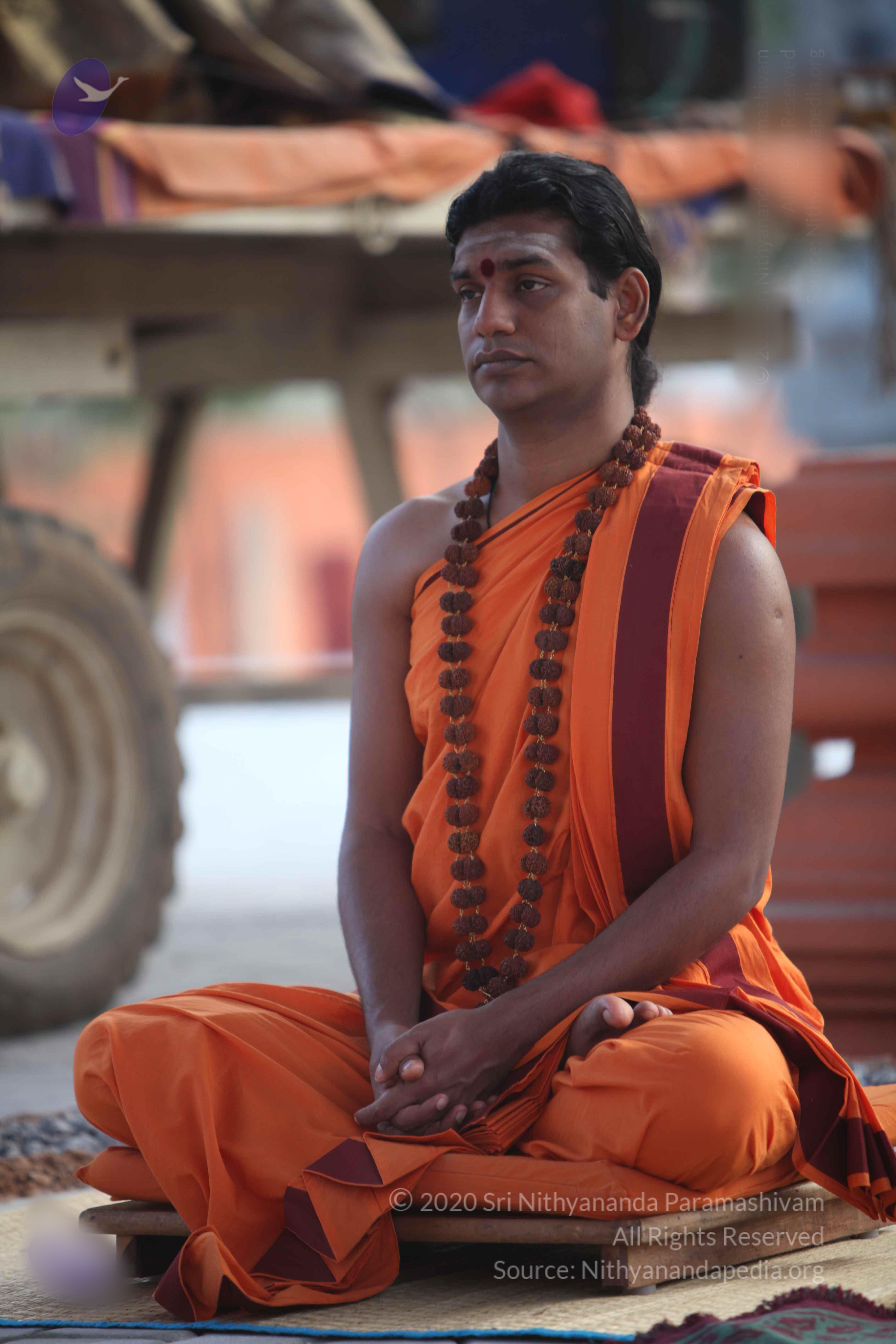 20110122_Photo_1096_IMG_2790_CMP_WM