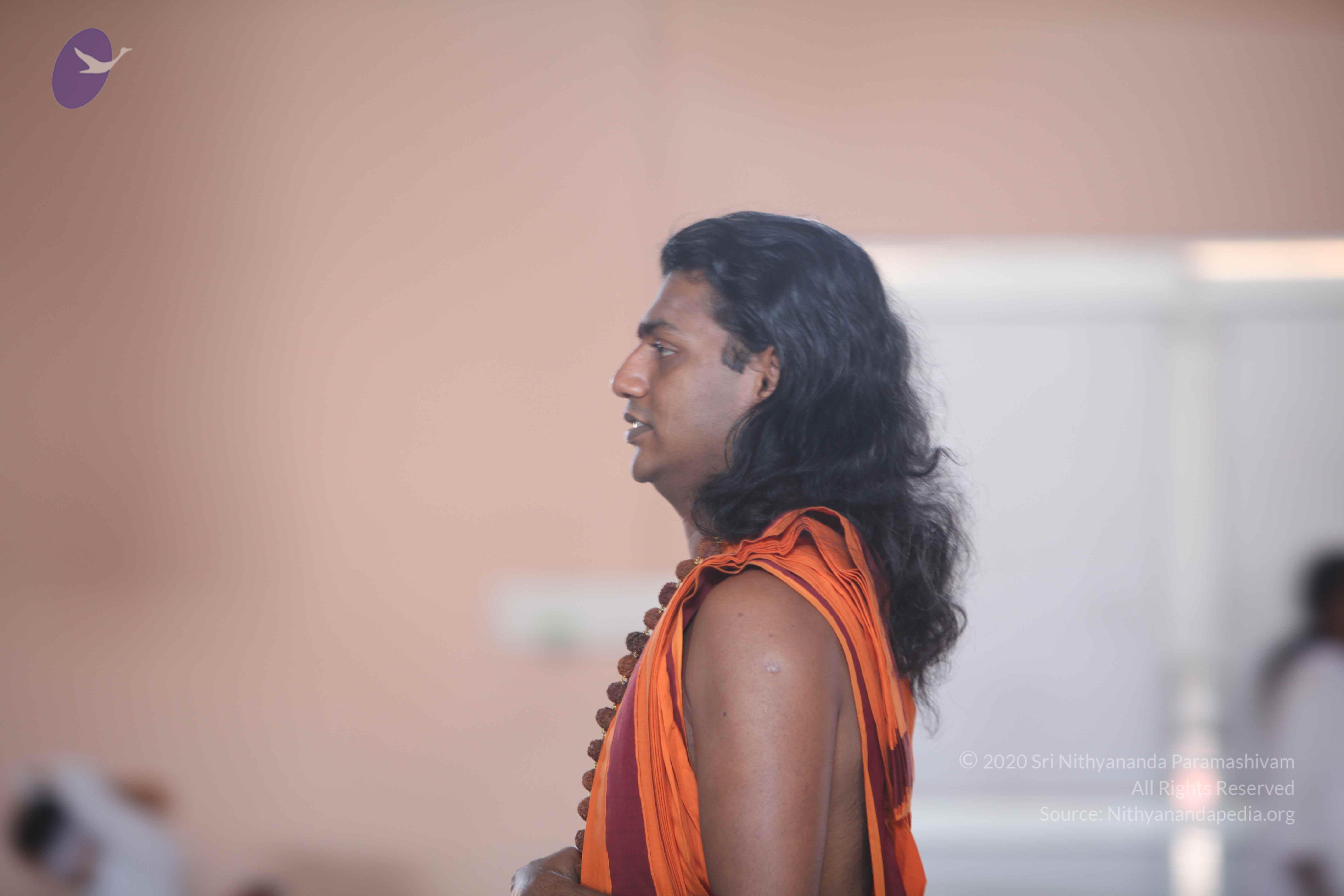 20110122_Photo_1098_IMG_2954_CMP_WM