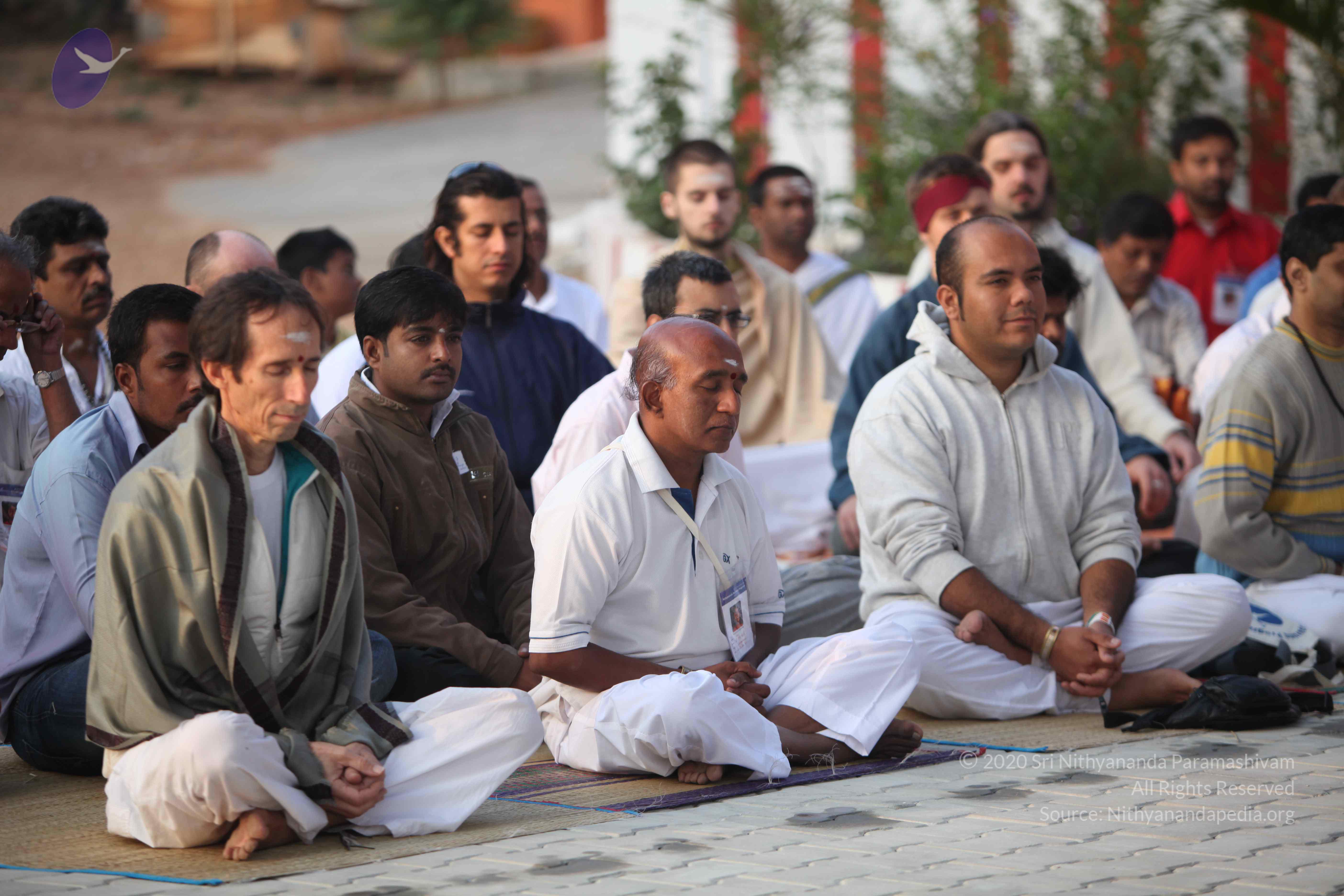 20110122_Photo_1111_IMG_2781_CMP_WM