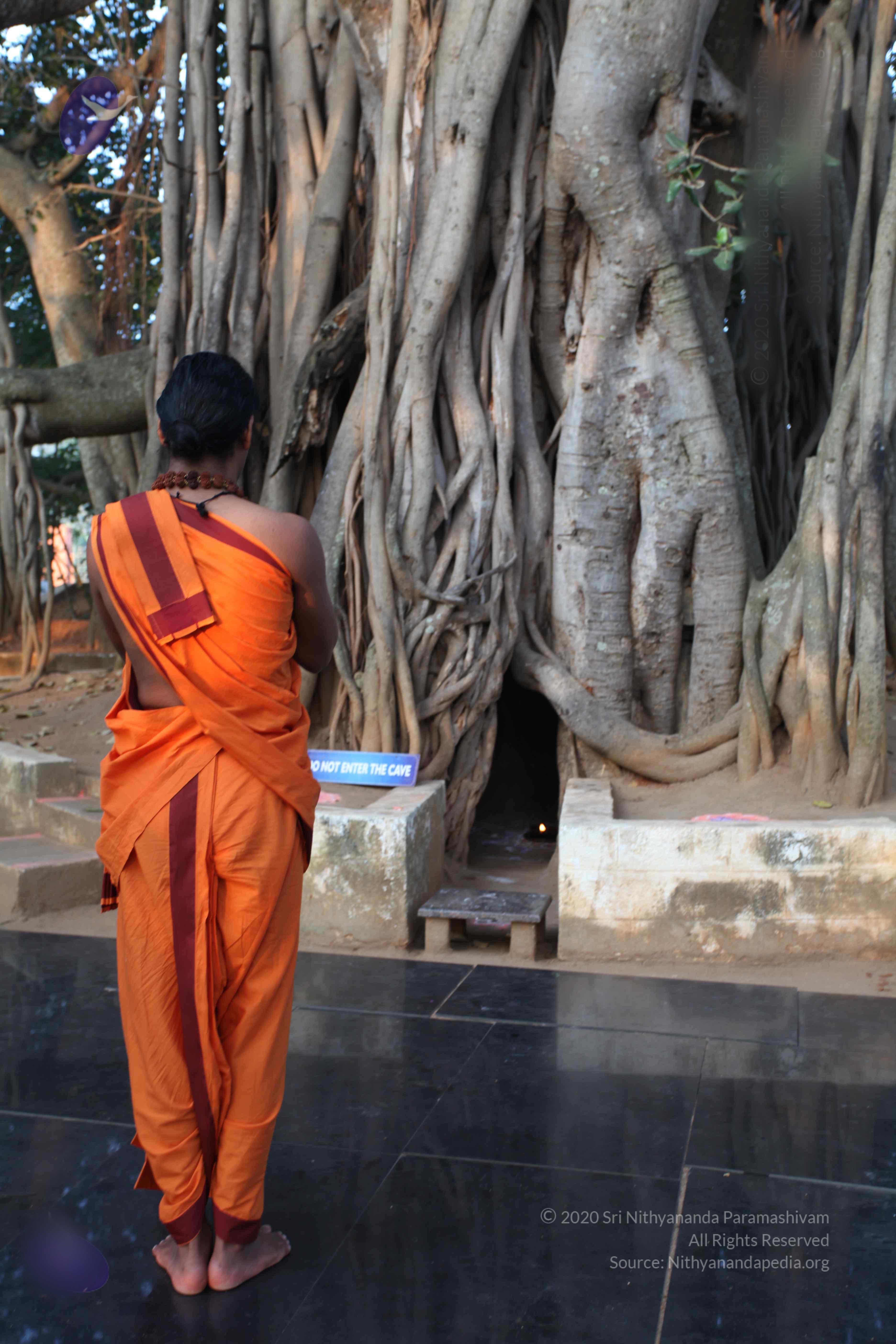 20110122_Photo_1113_IMG_2749_CMP_WM