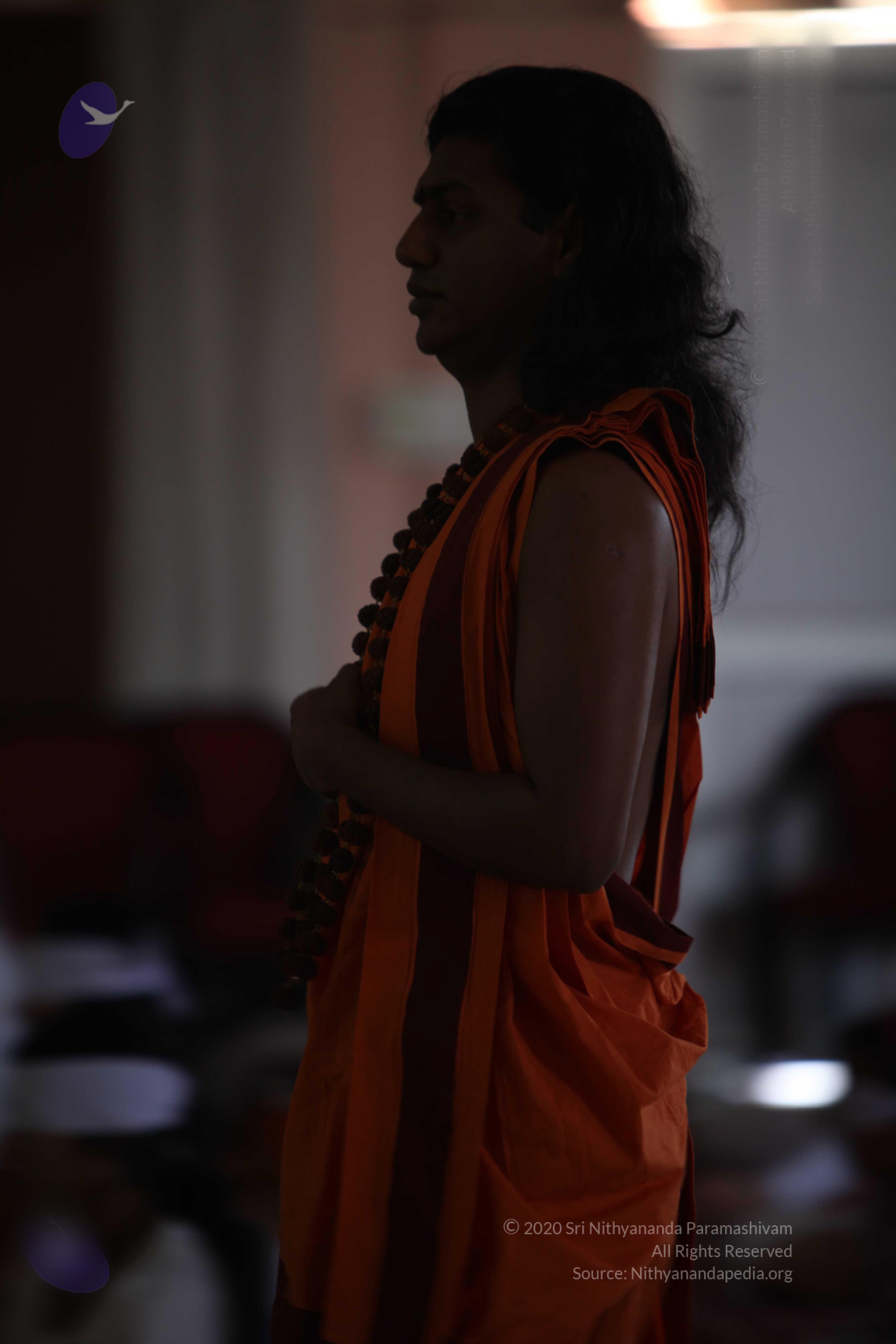 20110122_Photo_1114_batch_IMG_3025_CMP_WM