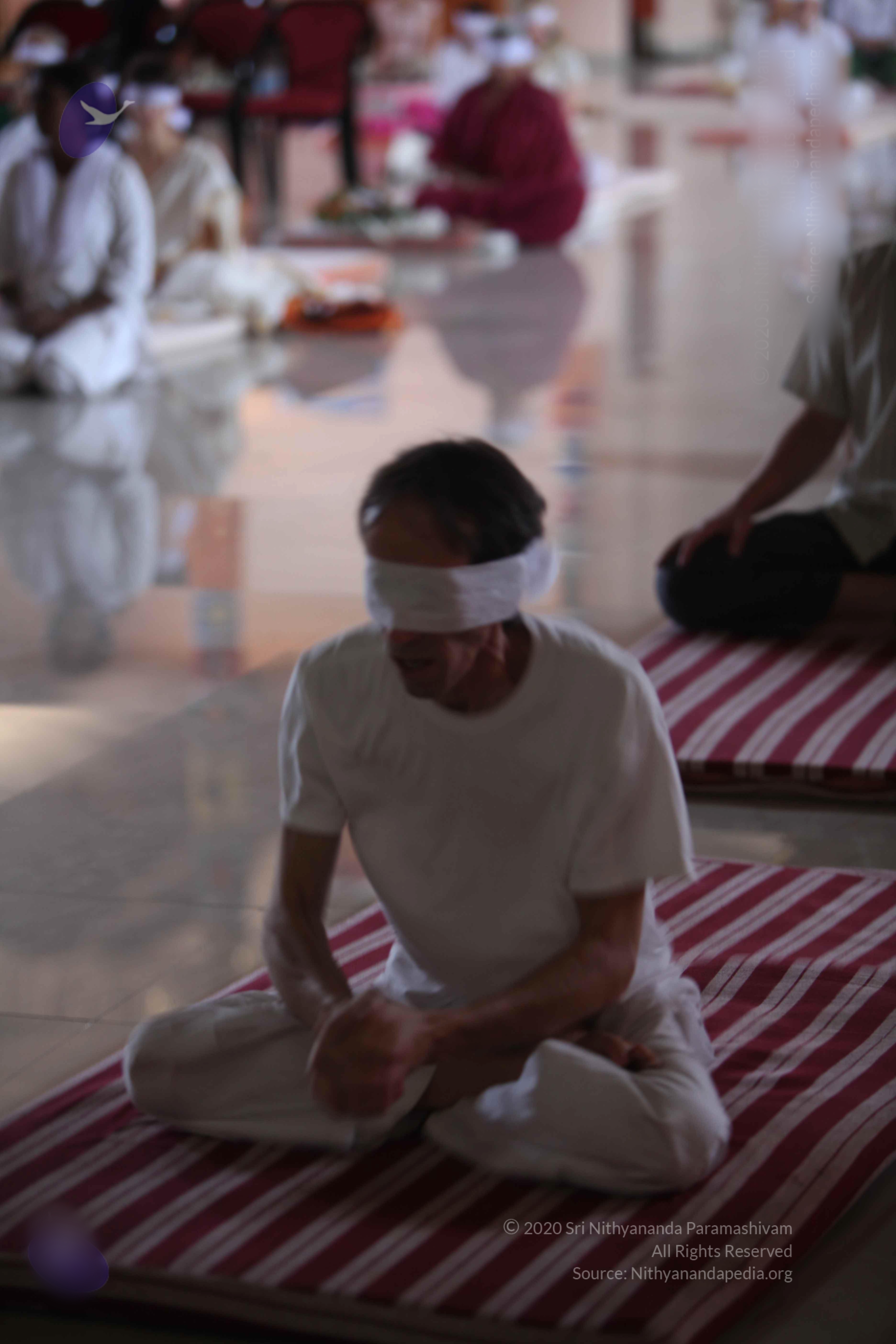 20110122_Photo_1115_batch_IMG_3012_CMP_WM