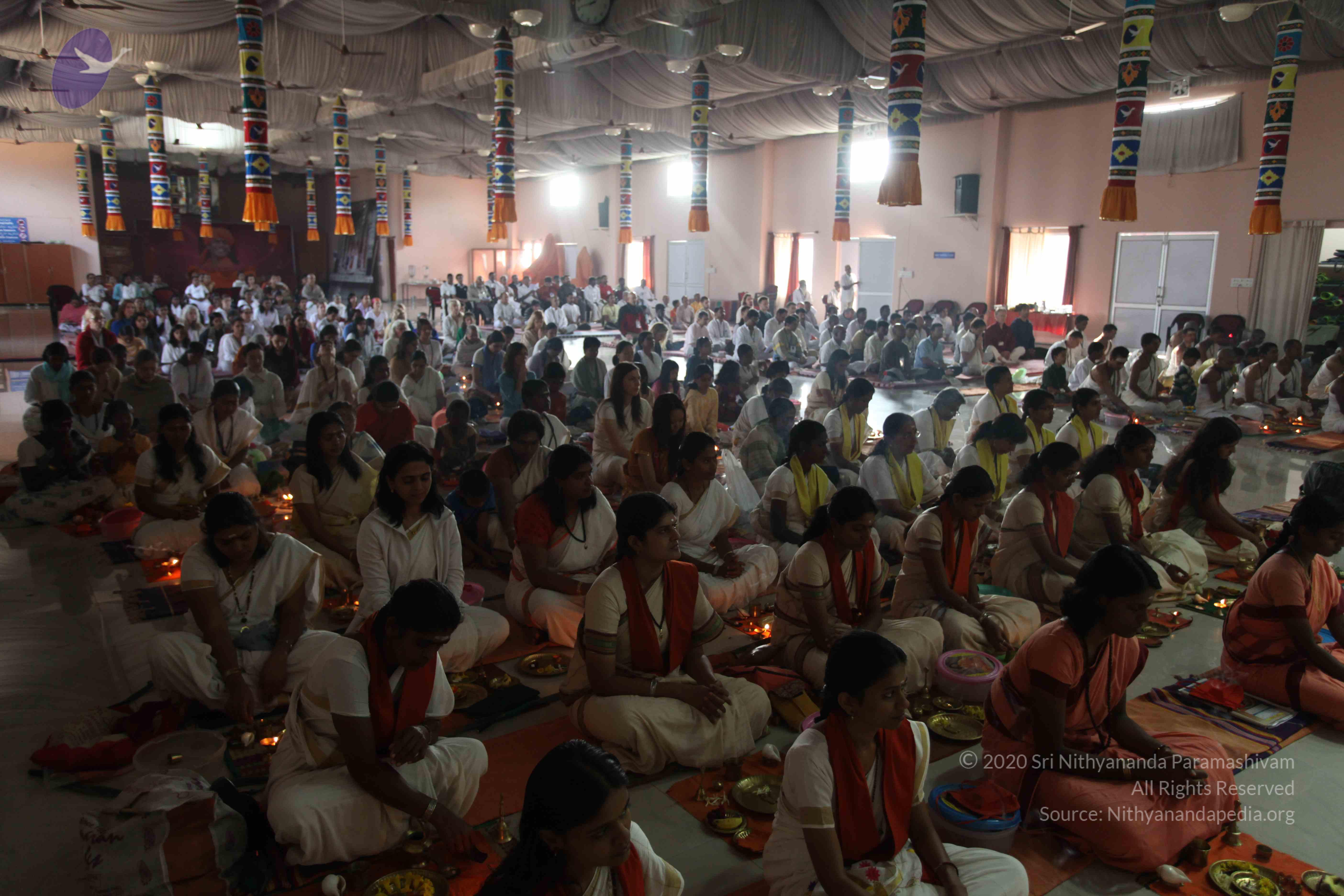 20110122_Photo_1116_IMG_2818_CMP_WM