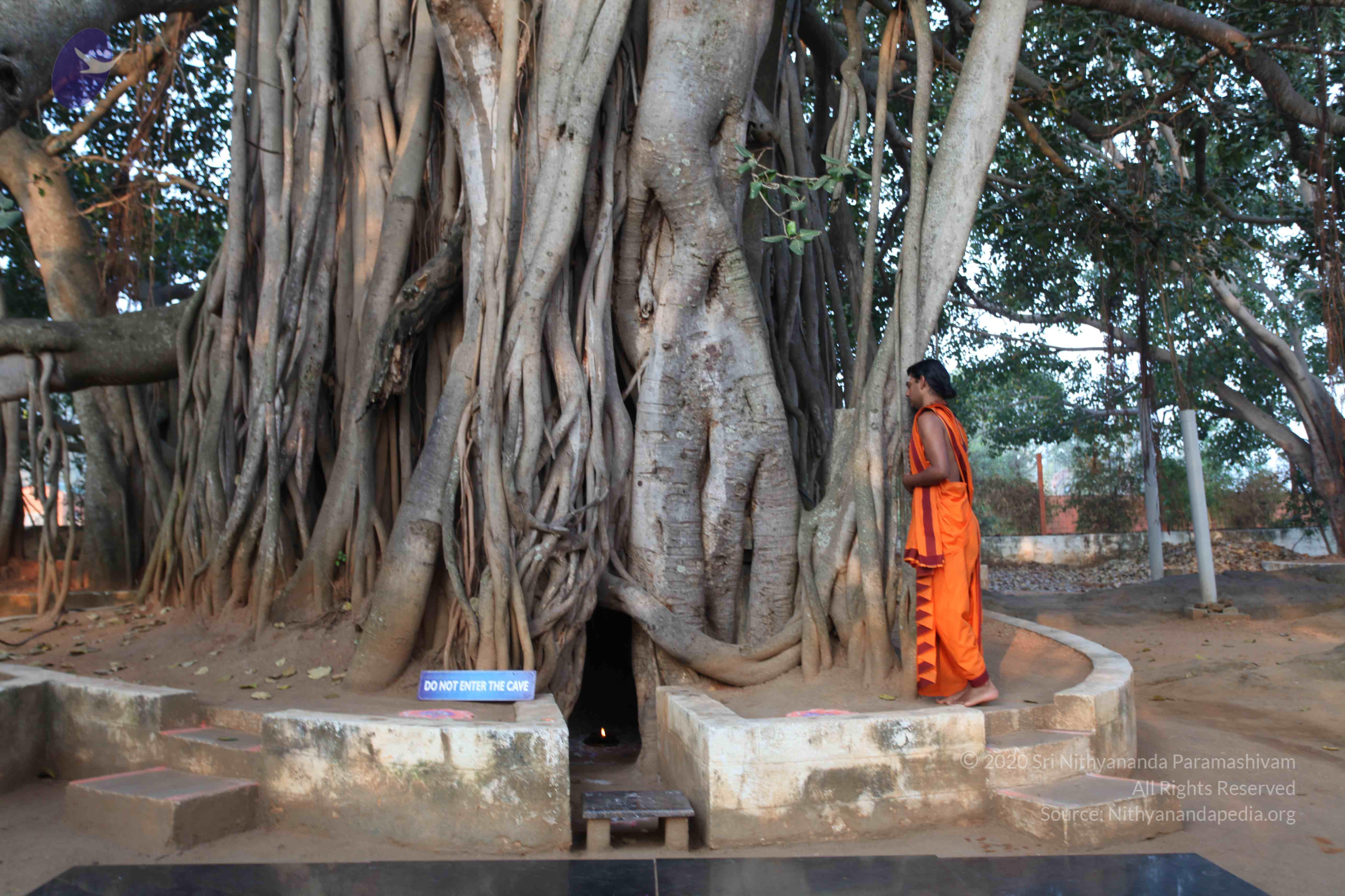 20110122_Photo_1122_IMG_2737_CMP_WM