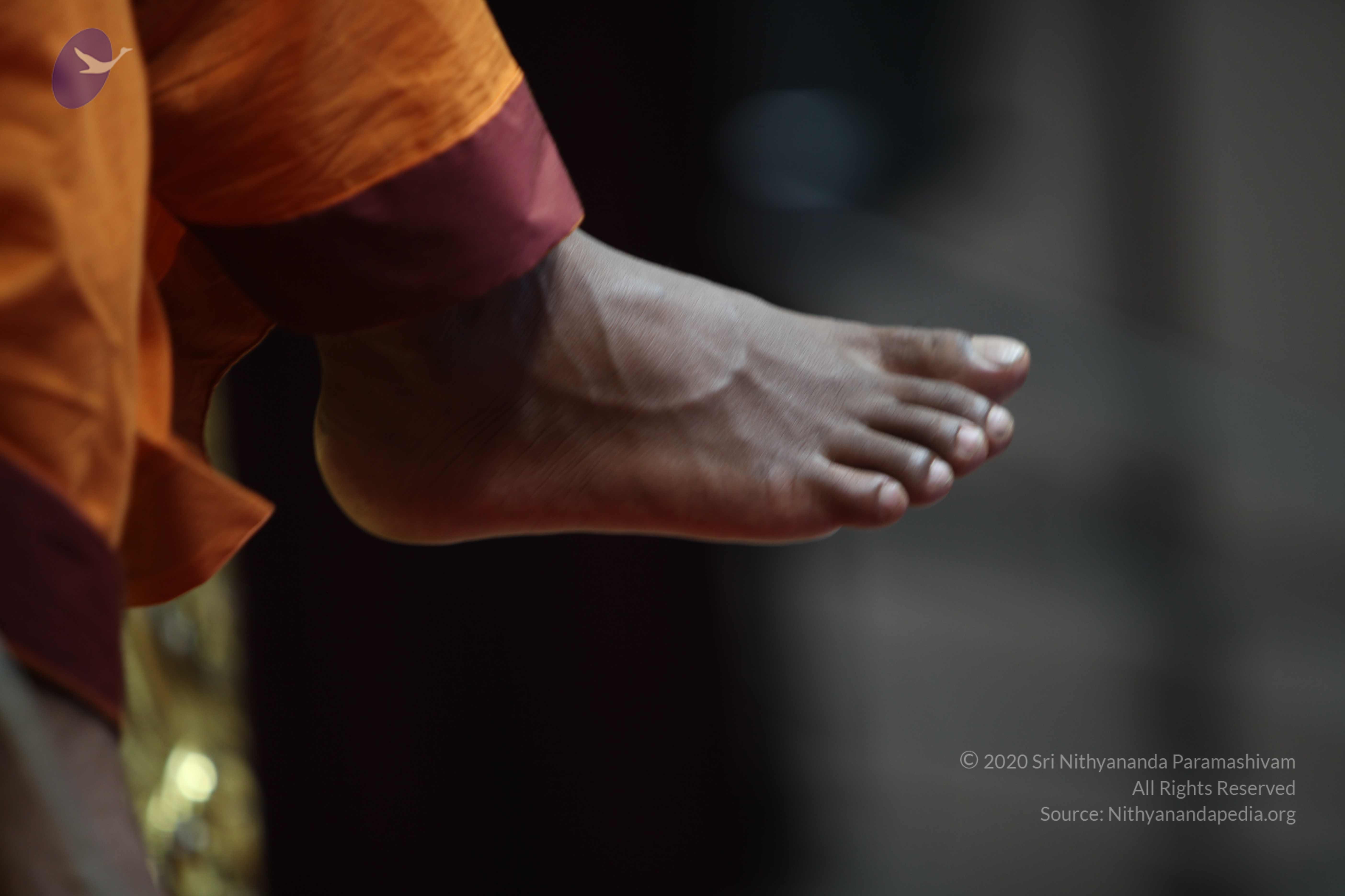 20110122_Photo_1123_IMG_3205_CMP_WM